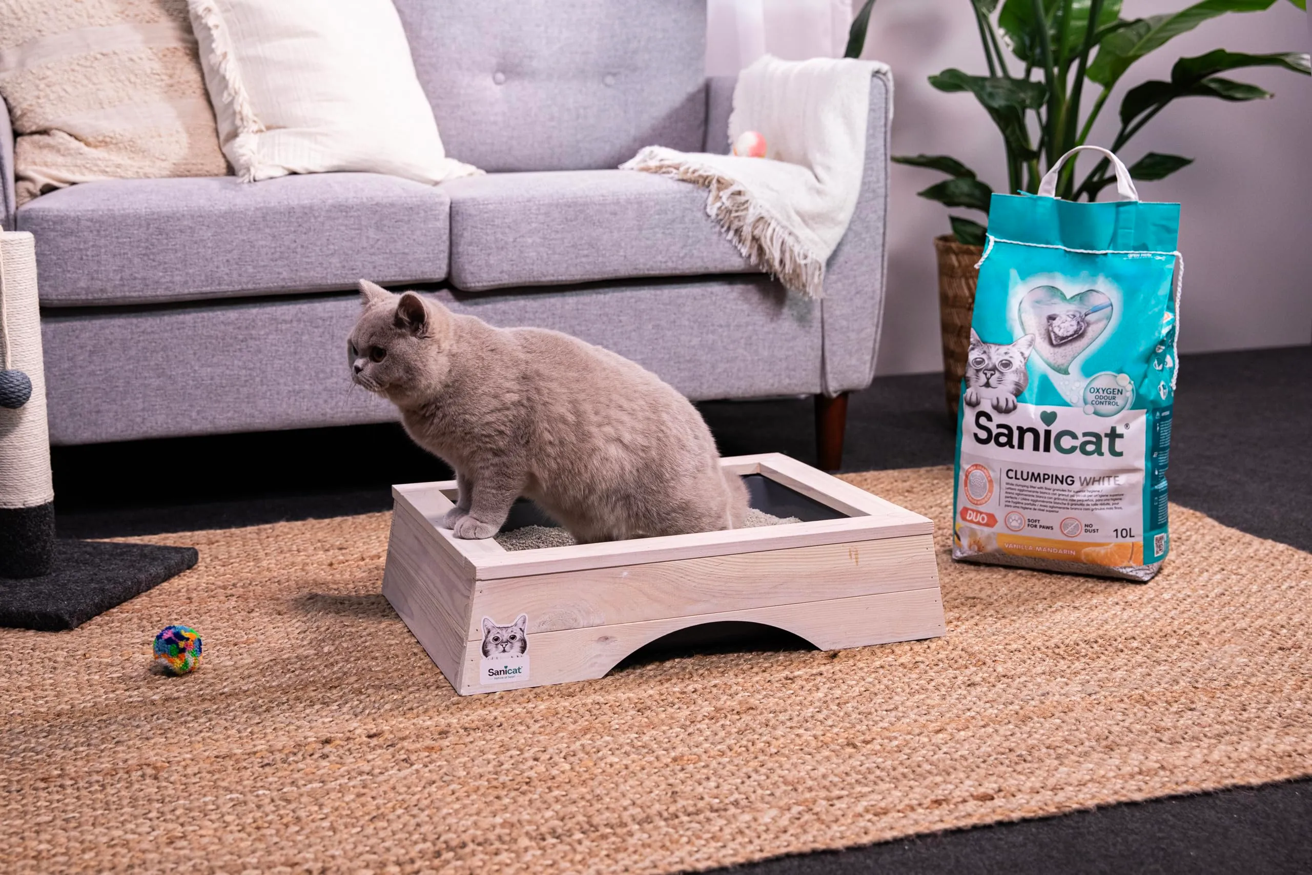 Sanicat Lettiera per gatti agglomerante Formbianca vaniglia e mandarino, minerali naturali, 10 L - immagine 5