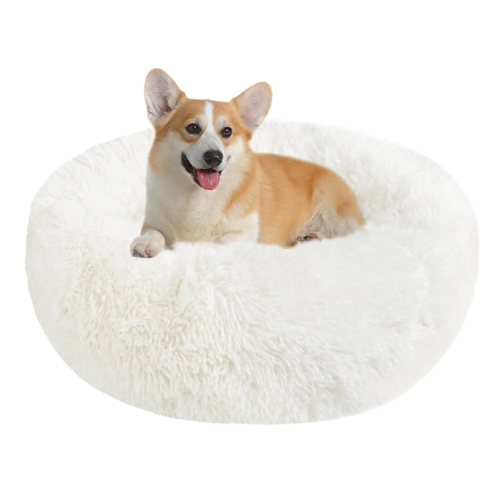 Nepfaivy Cuccia per Gatti e Cani da Interno, 70 x 70 x 20 cm, Bianca - immagine 1