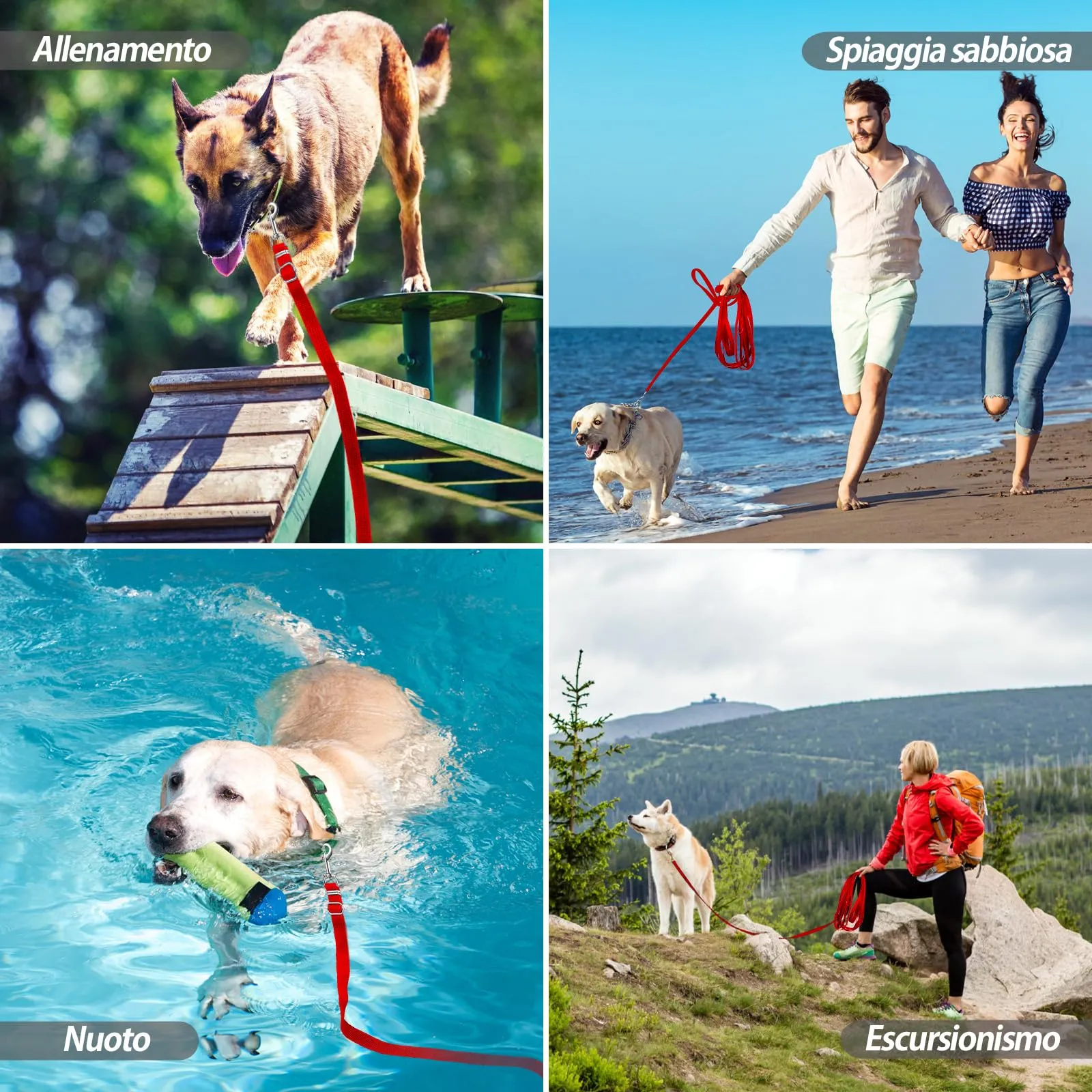SuplutuX Guinzaglio Addestramento Regolabile per Cani, 30m, Rosso - immagine 5