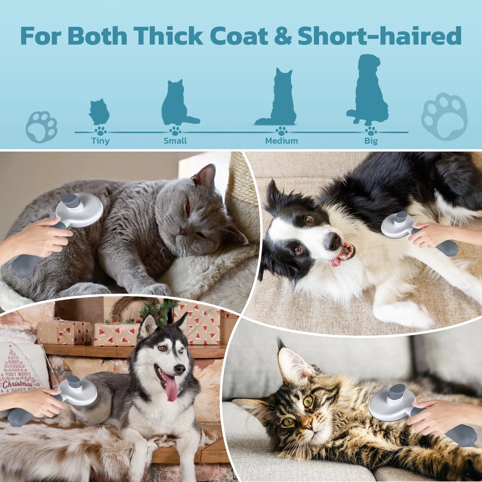 Zivacate Brosse pour Chat et Chien, Outil de Toilettage pour Poils Courts et Longs, Gris - immagine 6