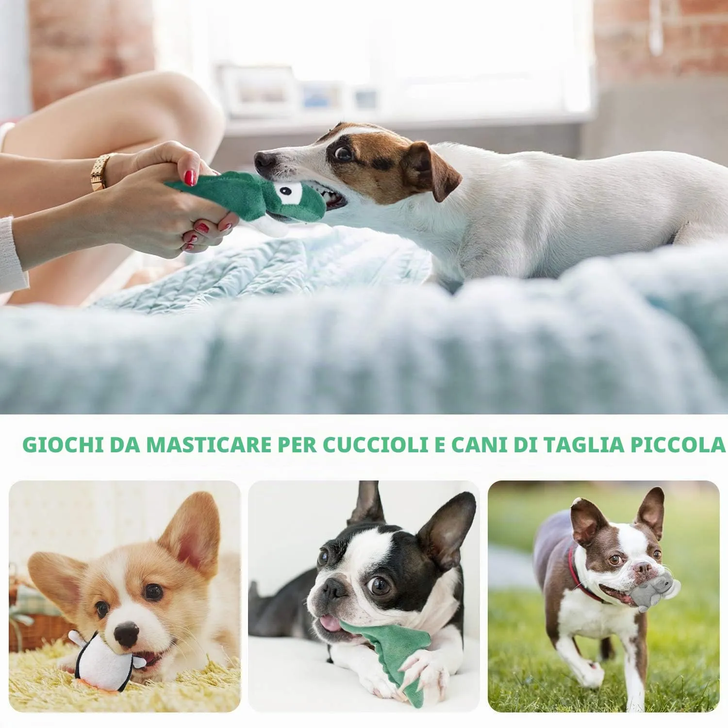 LEGEND SANDY Set di 12 Giocattoli di Peluche Cigolanti per Cani di Piccola e Media Taglia - immagine 5