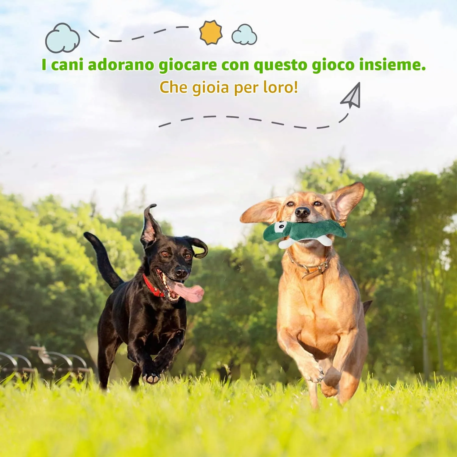 LEGEND SANDY Set di 12 Giocattoli di Peluche Cigolanti per Cani di Piccola e Media Taglia - immagine 6