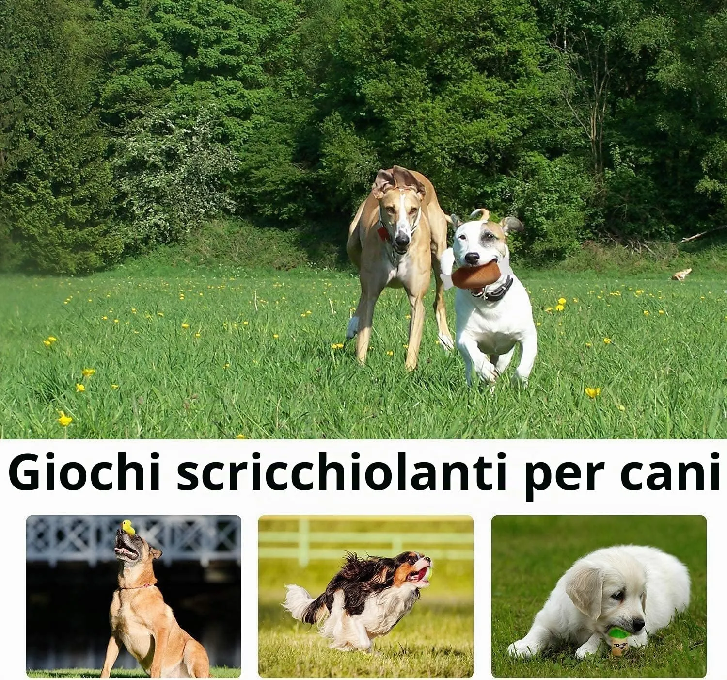 LEGEND SANDY Set di 14 giocattoli di peluche cigolanti a tema frutta e verdura per cani di piccola e media taglia - immagine 7