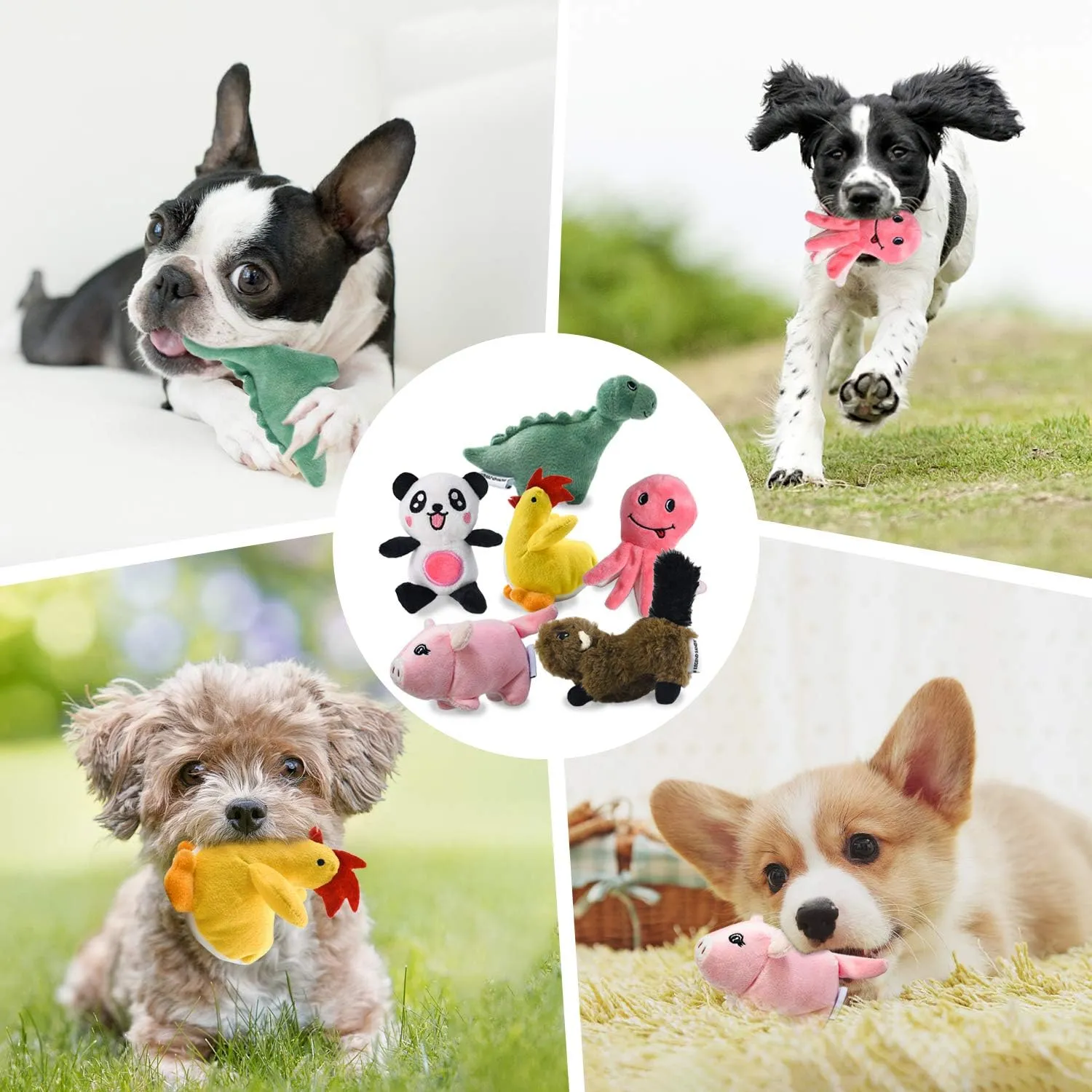 LEGEND SANDY Giocattoli di peluche cigolanti per cani, confezione da 6 pezzi, giocattoli da masticare per cuccioli di piccola taglia - immagine 5