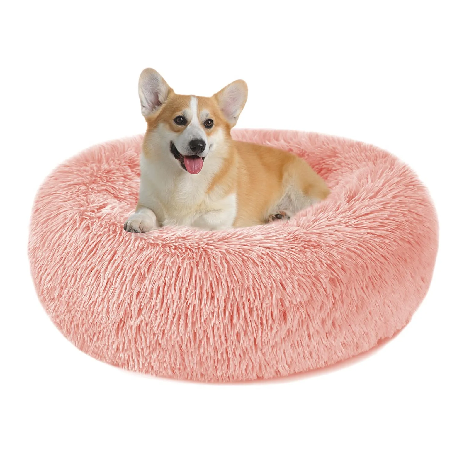 Nepfaivy Cuccia per Gatti e Cani da Interno, 60 x 60 x 19 cm - immagine 1