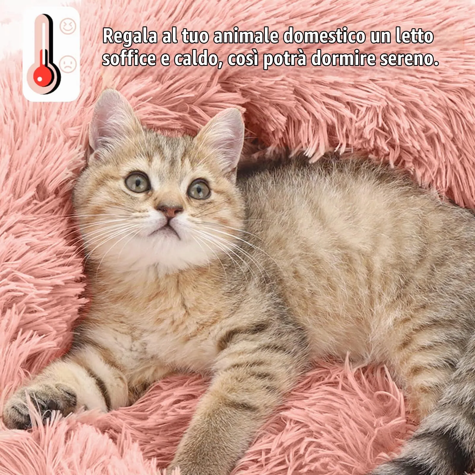 Nepfaivy Cuccia per Gatti e Cani da Interno, 70 x 70 x 20 cm - immagine 3