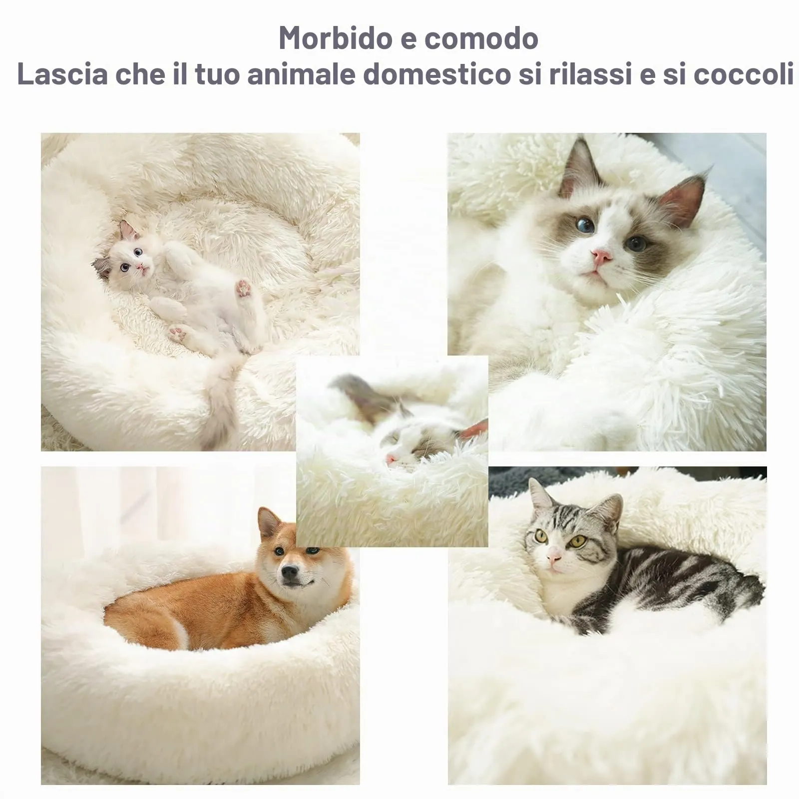 Nepfaivy Cuccia per Gatti e Cani da Interno, L 80 x P 80 x H 22 cm, Bianca - immagine 3