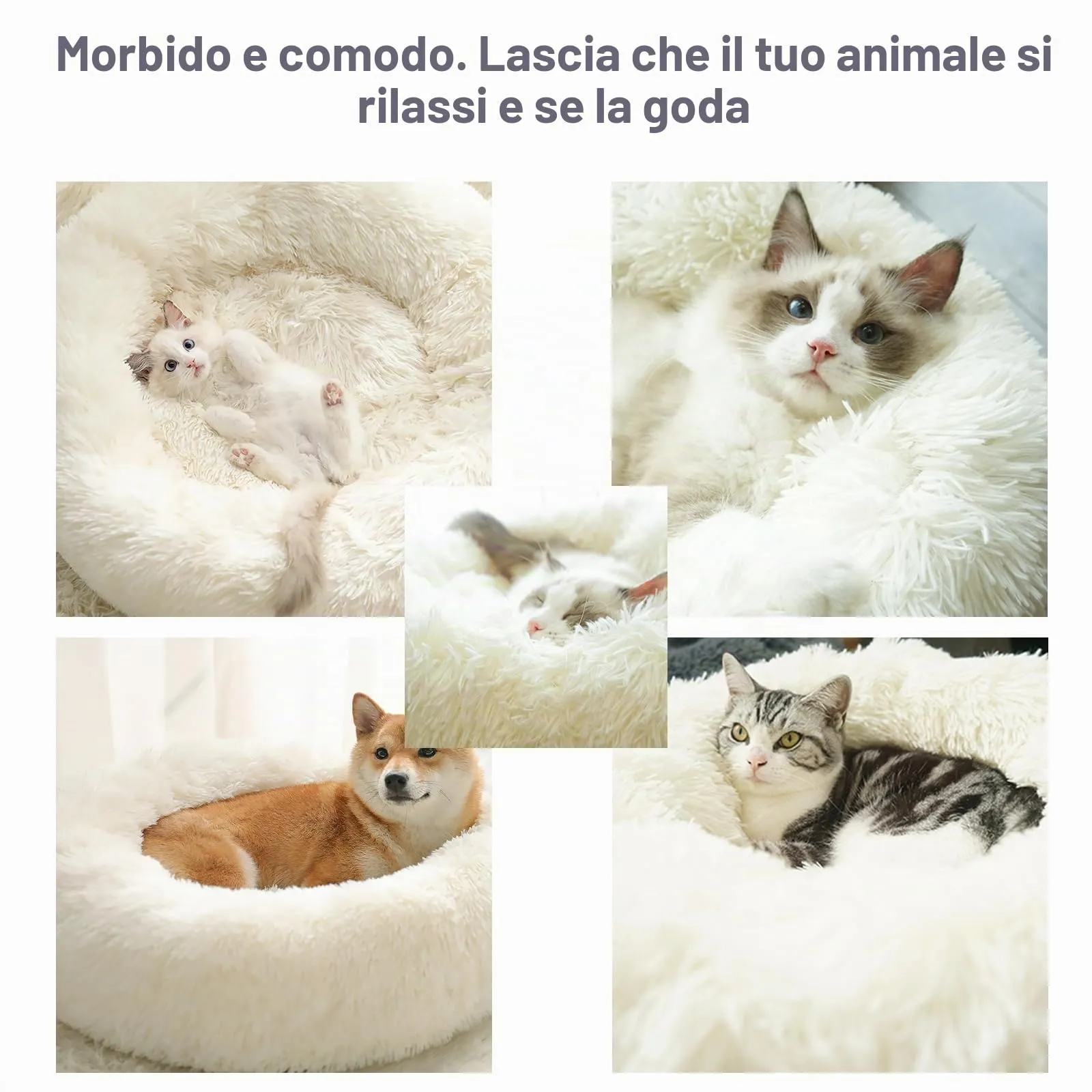 Nepfaivy Cuccia per Gatti e Cani da Interno, 60 x 60 x 19 cm, Bianca - immagine 4