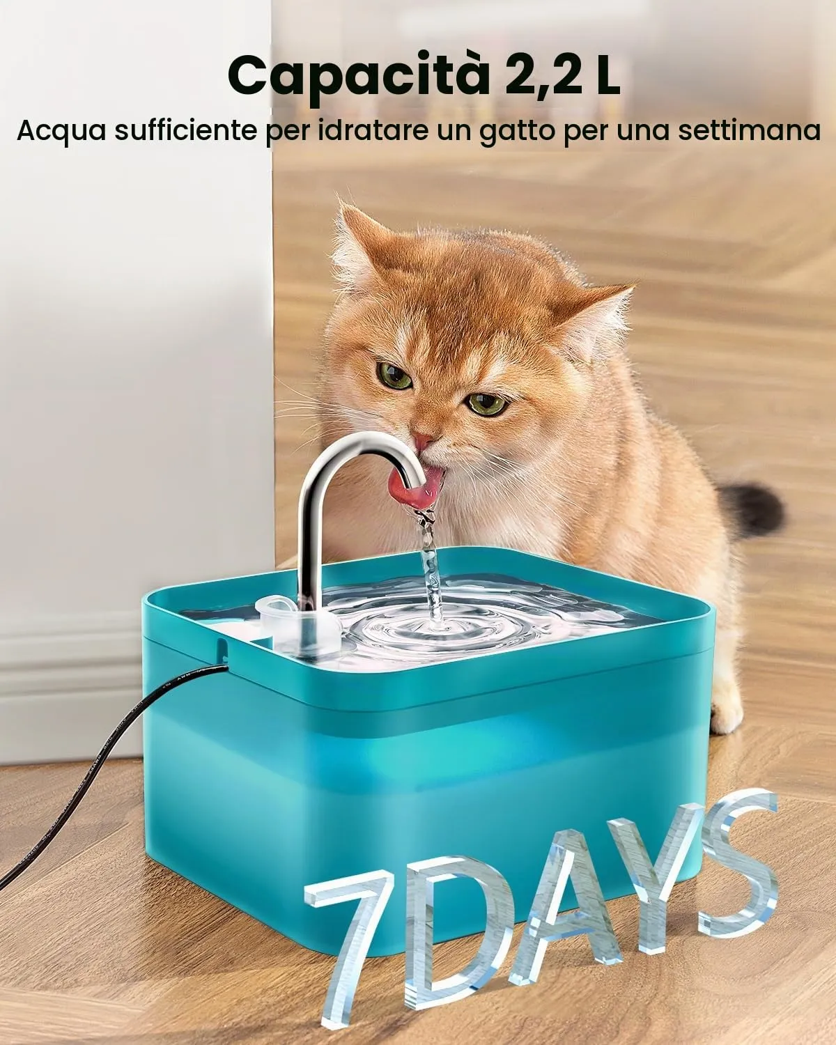 PawPoll Fontanella per Gatti 2,2L con LED e Filtro a Carbone Attivo, Verde - immagine 2