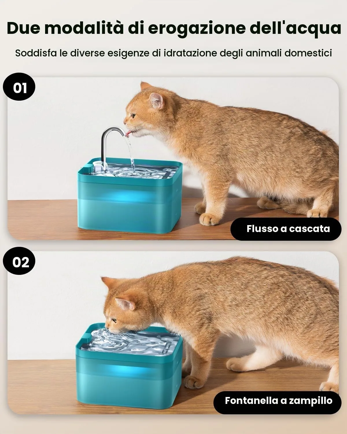 PawPoll Fontanella per Gatti 2,2L con LED e Filtro a Carbone Attivo, Verde - immagine 6