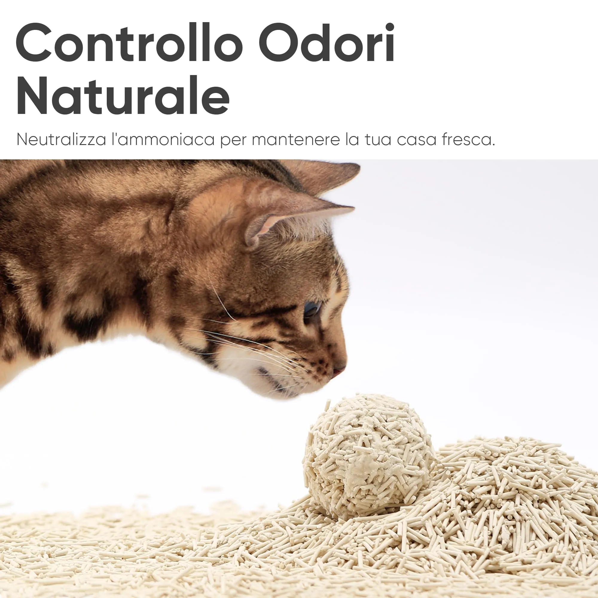 FUKUMARU Lettiera per Gatti al Tofu, Mais e Fagioli, Agglomerante e Biodegradabile, 24L / 10,8kg - immagine 8