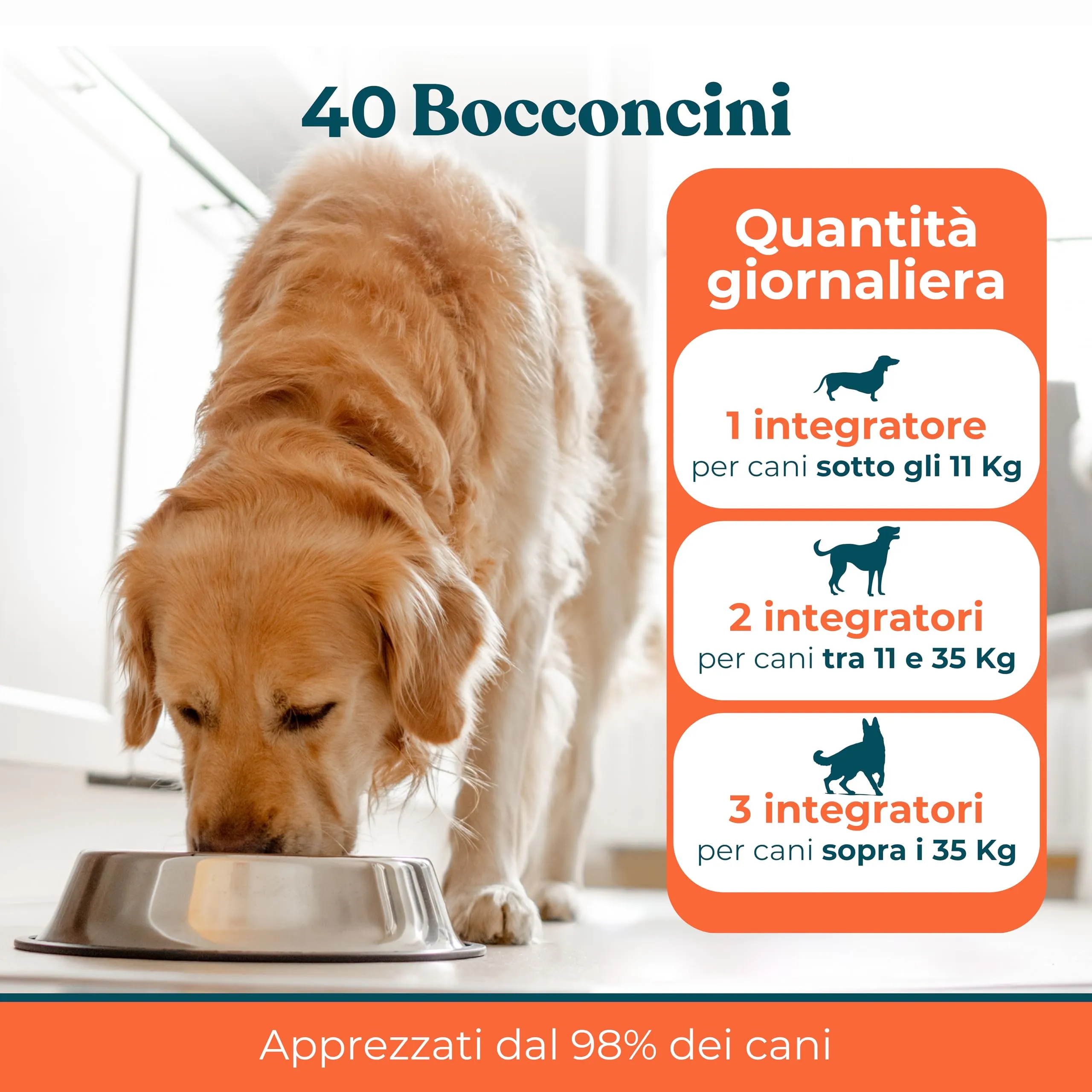 Integropet Probiotico per Cani Gusto Manzo, 40 Bocconcini - immagine 5