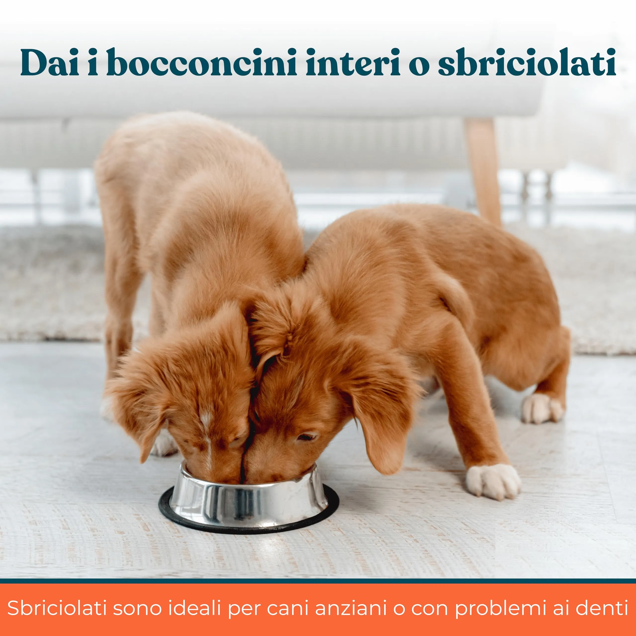 Integropet Probiotico per Cani Gusto Manzo, 40 Bocconcini - immagine 7
