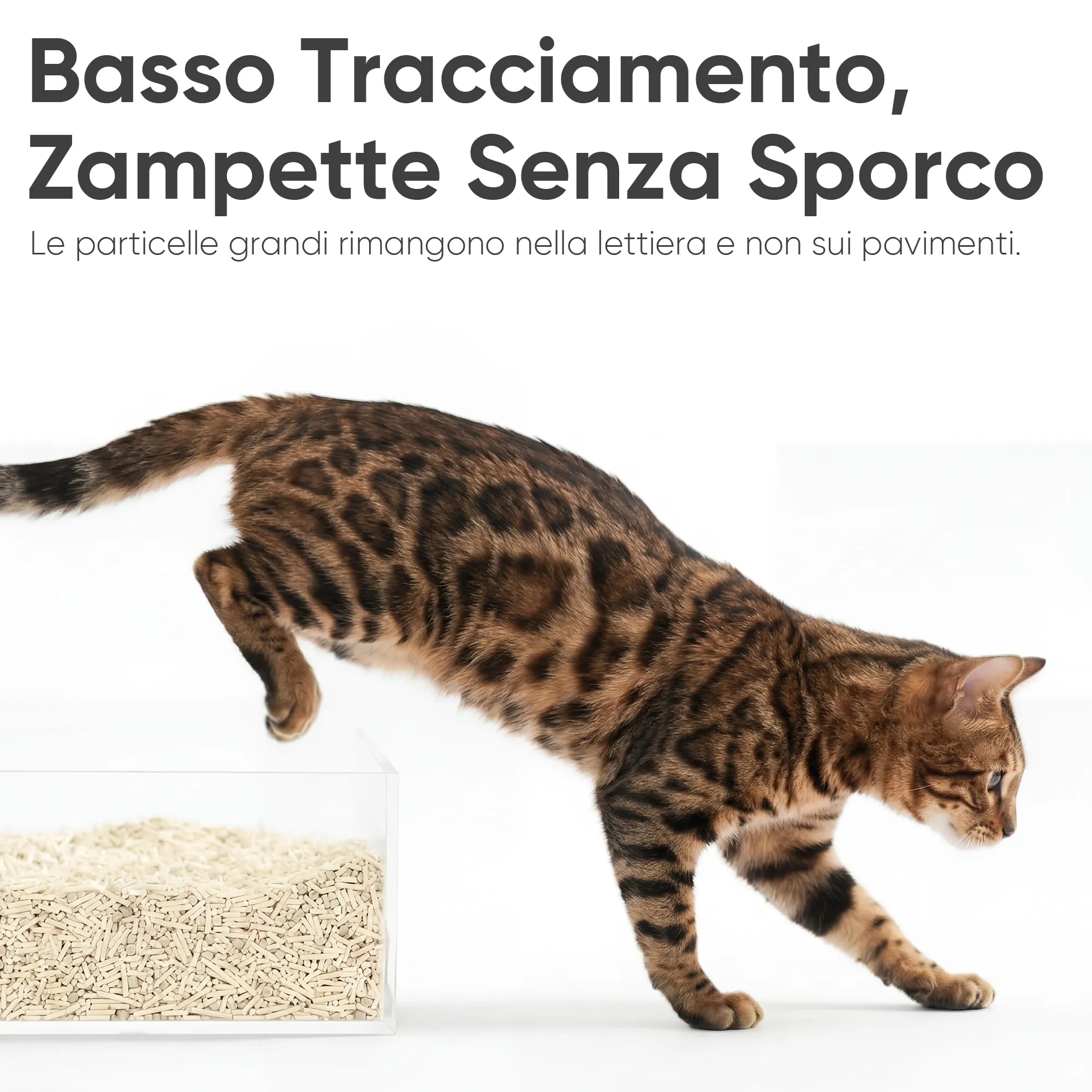 FUKUMARU Lettiera per Gatti al Tofu, Agglomerante Naturale di Mais e Fagioli, 12L - immagine 5