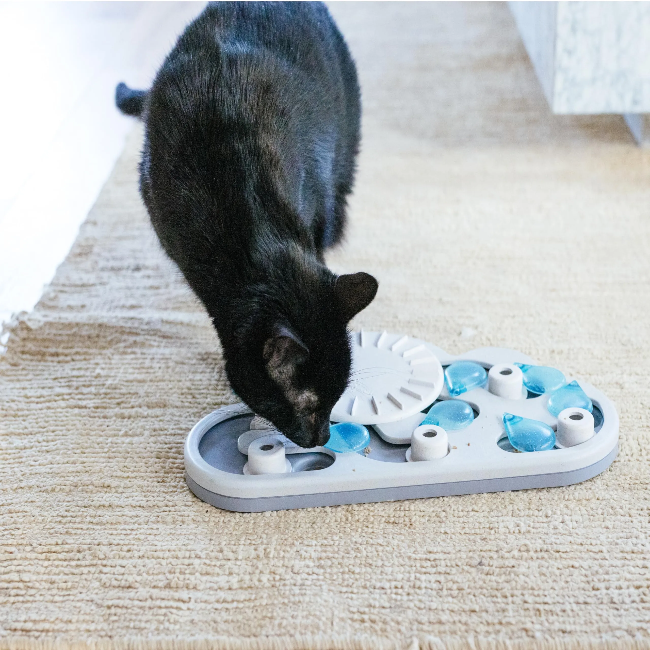 Catstages Nina Ottosson Rainy Day Puzzle & Play Rompicapo Interattivo per Gatti - immagine 8