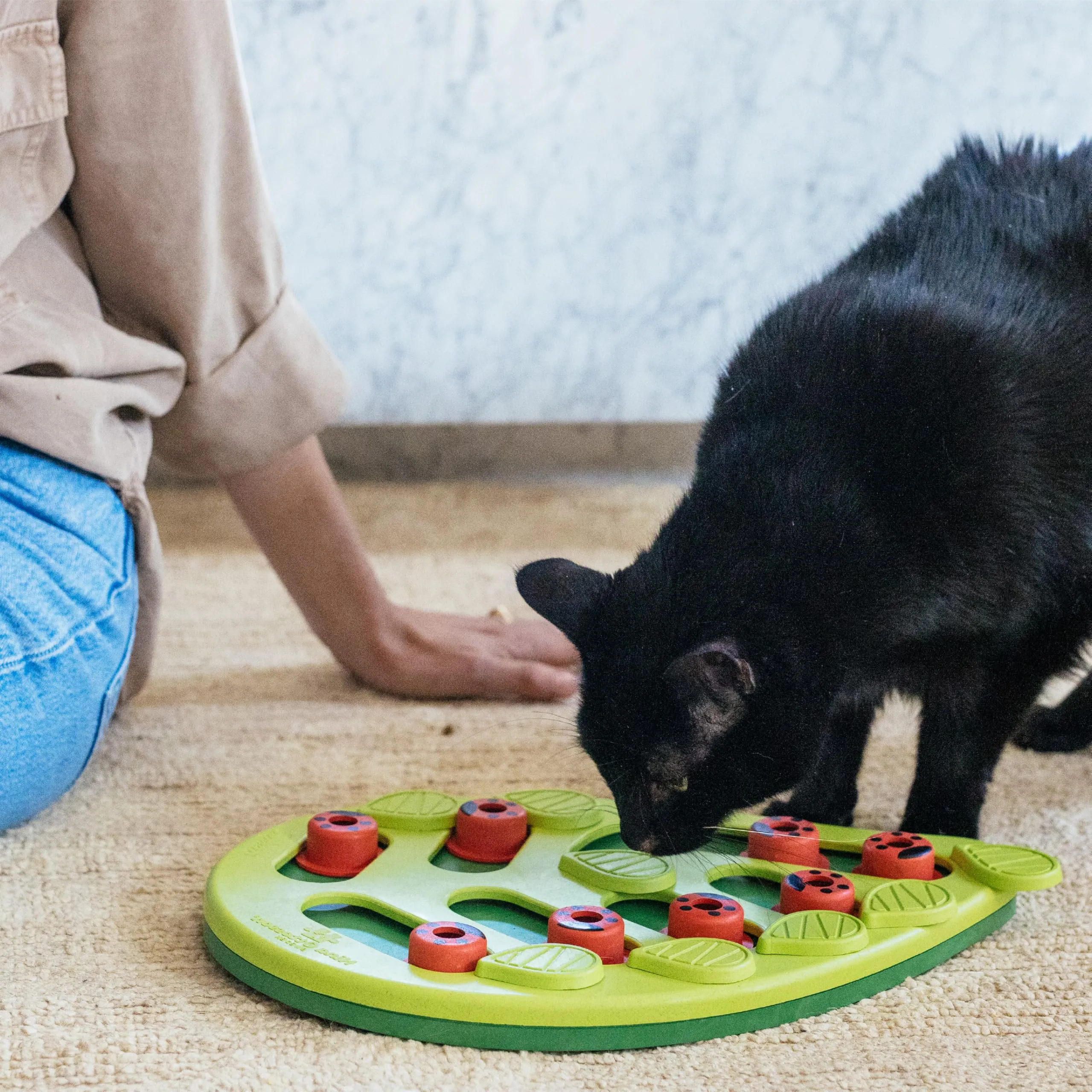 Catstages Nina Ottosson Buggin Out Gioco Rompicapo Interattivo per Gatti - immagine 8
