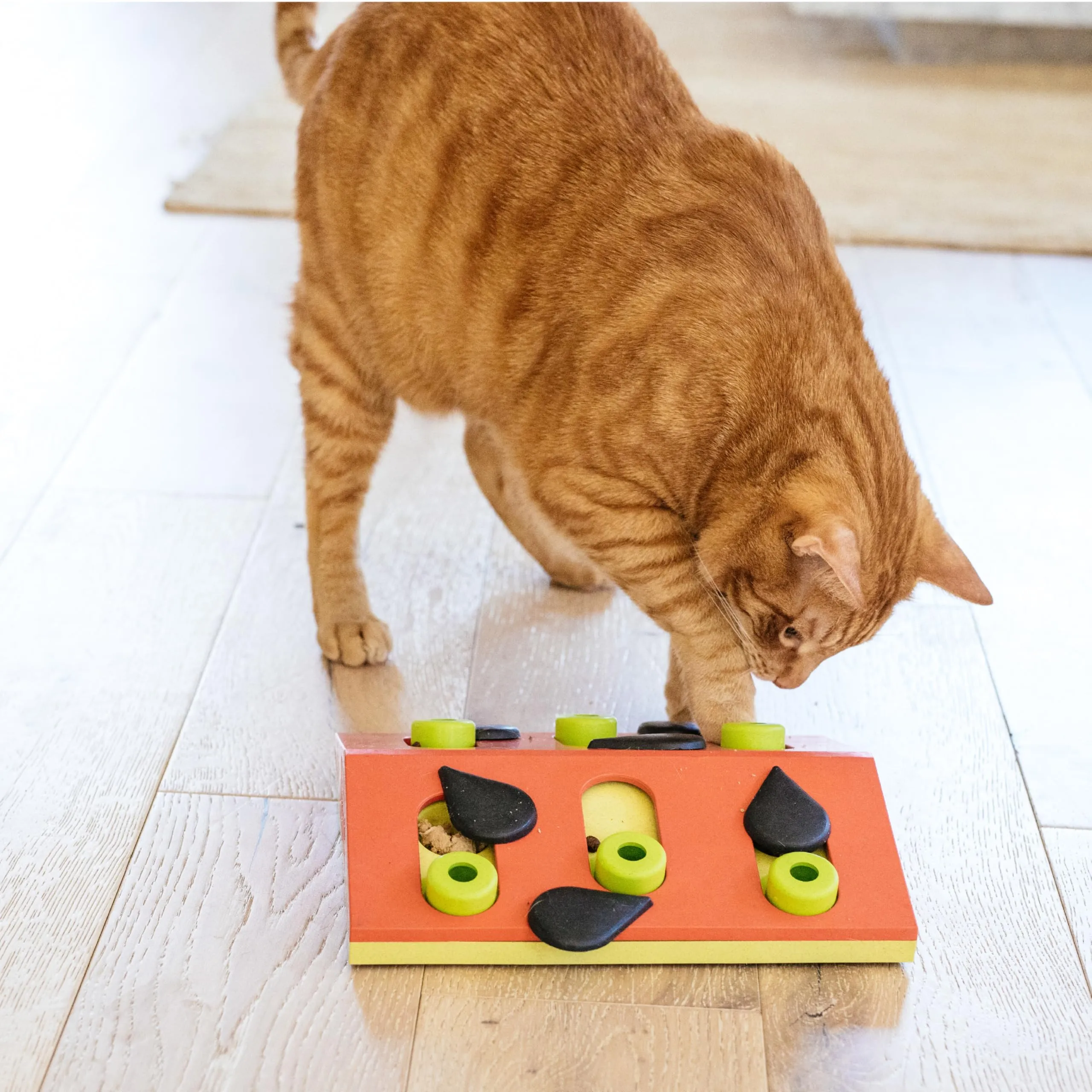 Nina Ottosson di Petstages Melon Madness - Gioco rompicapo interattivo per gatti - immagine 2