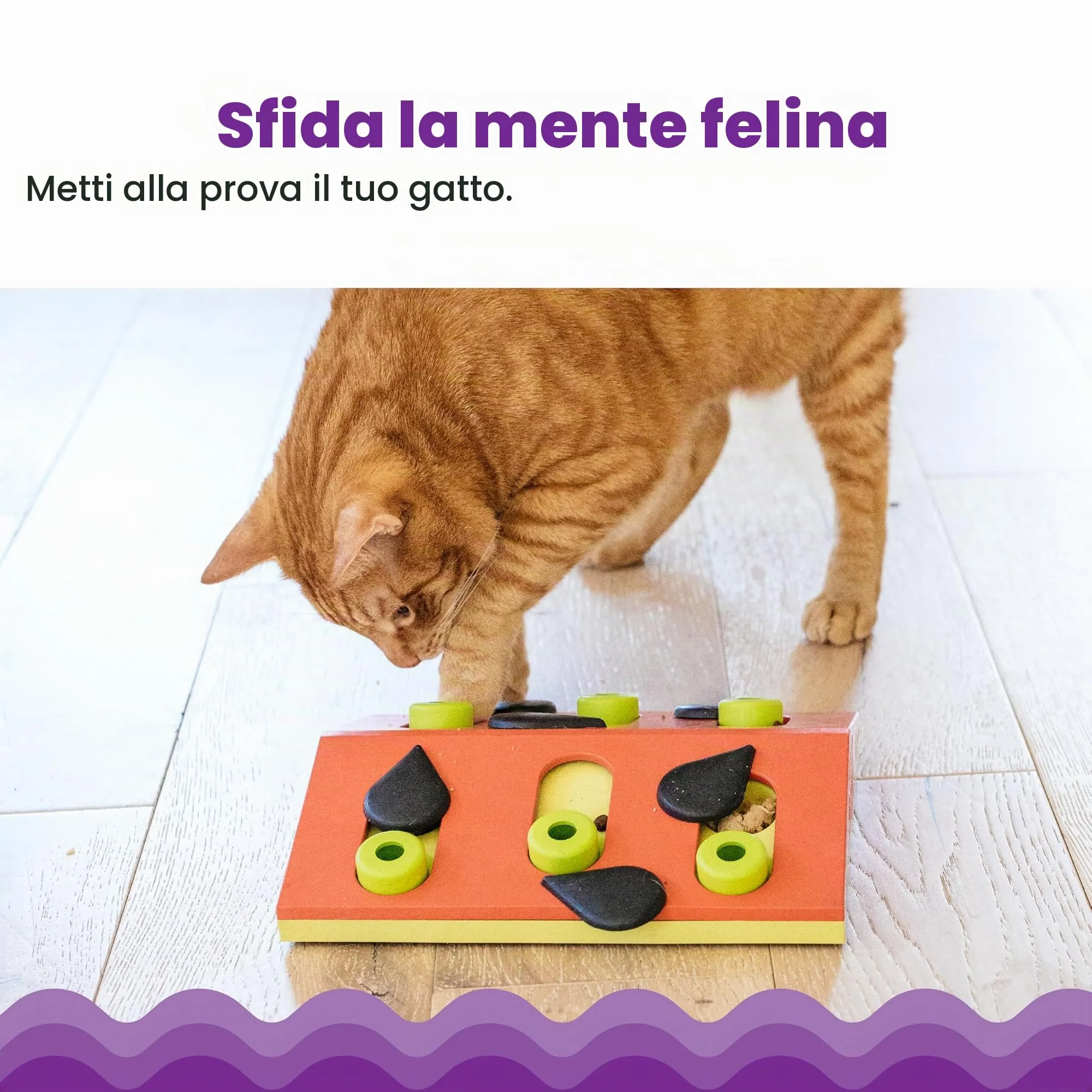 Nina Ottosson di Petstages Melon Madness - Gioco rompicapo interattivo per gatti - immagine 3