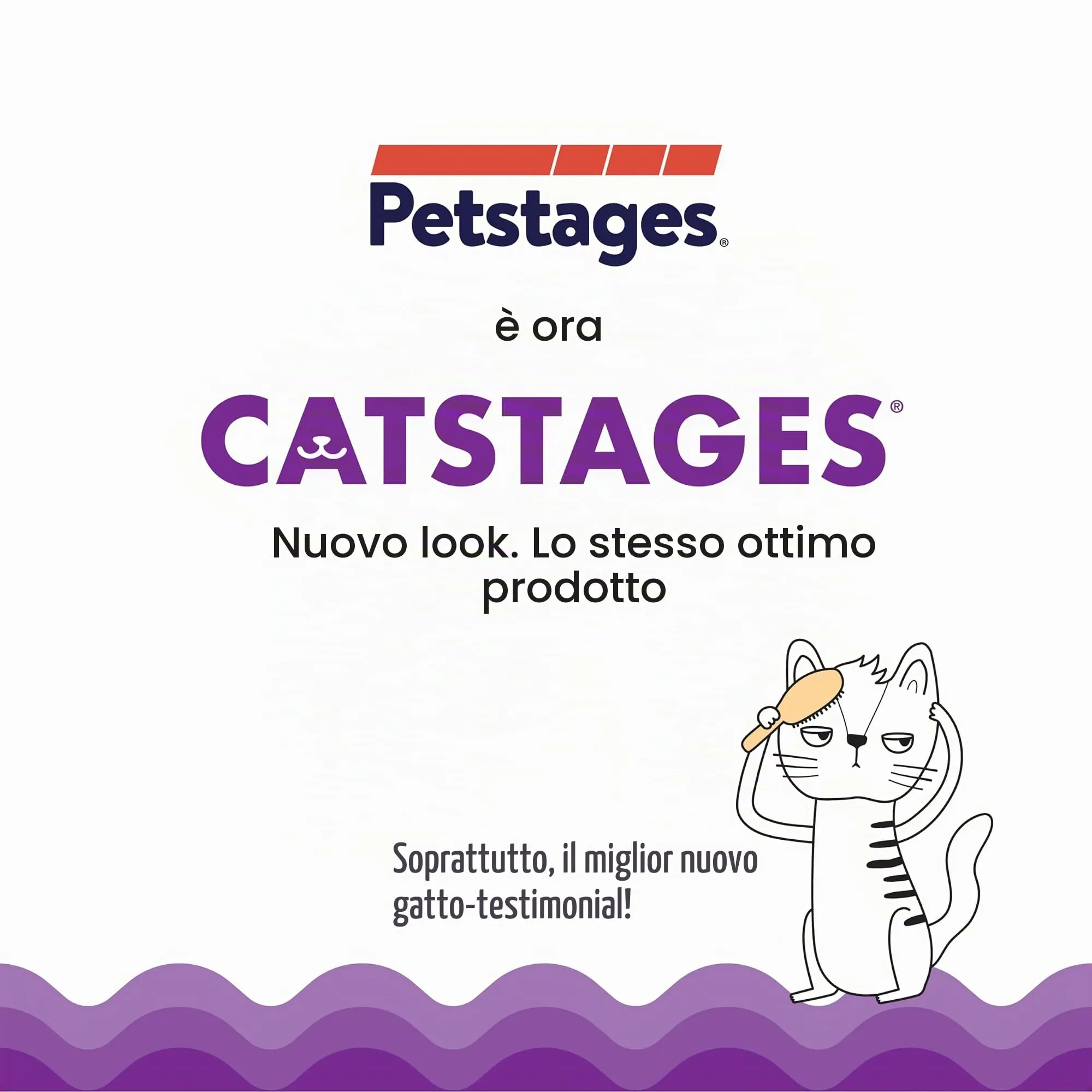 Petstages Kitty Slow Feeder Ciotola anti ingozzamento per gatti - Verde - immagine 2