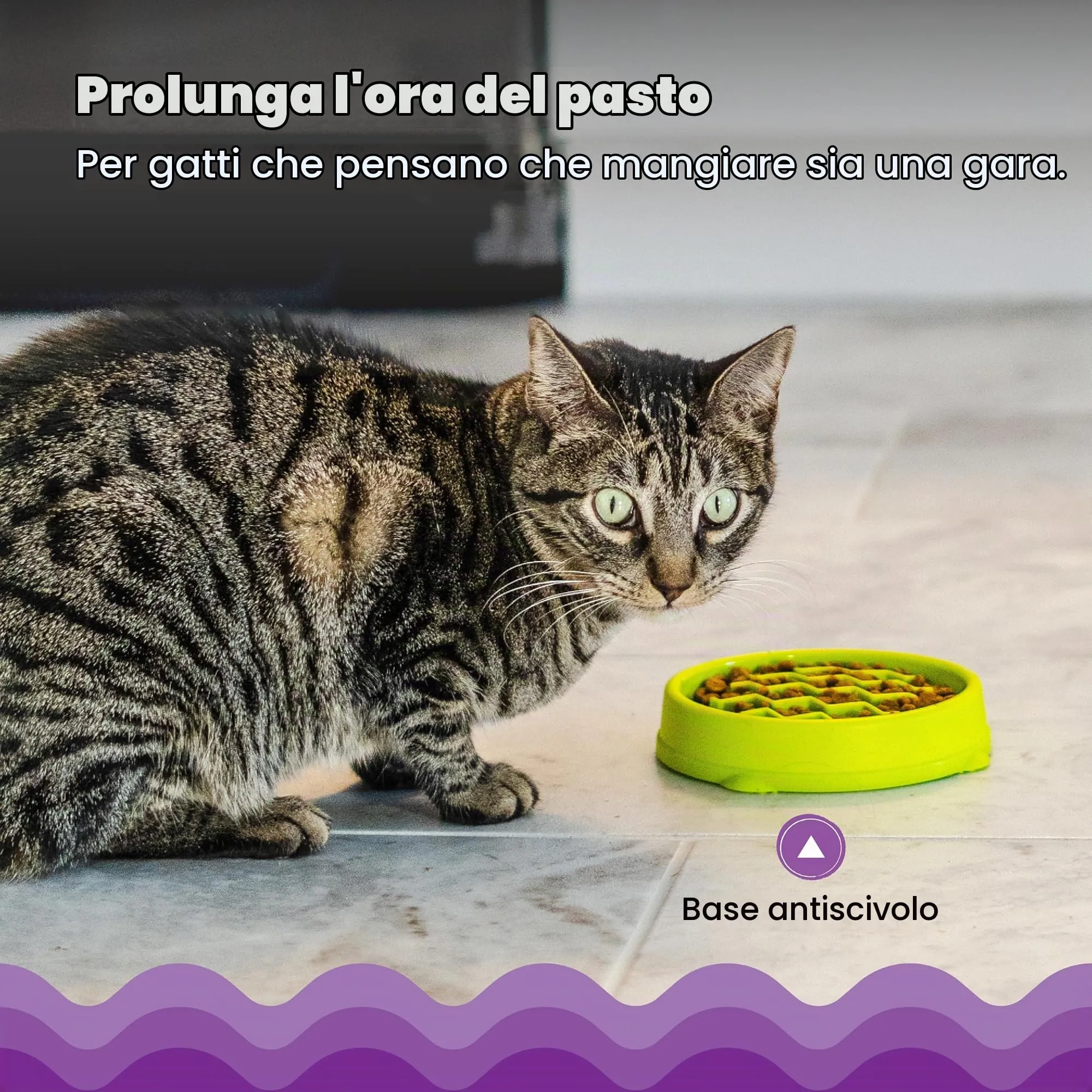Petstages Kitty Slow Feeder Ciotola anti ingozzamento per gatti - Verde - immagine 4