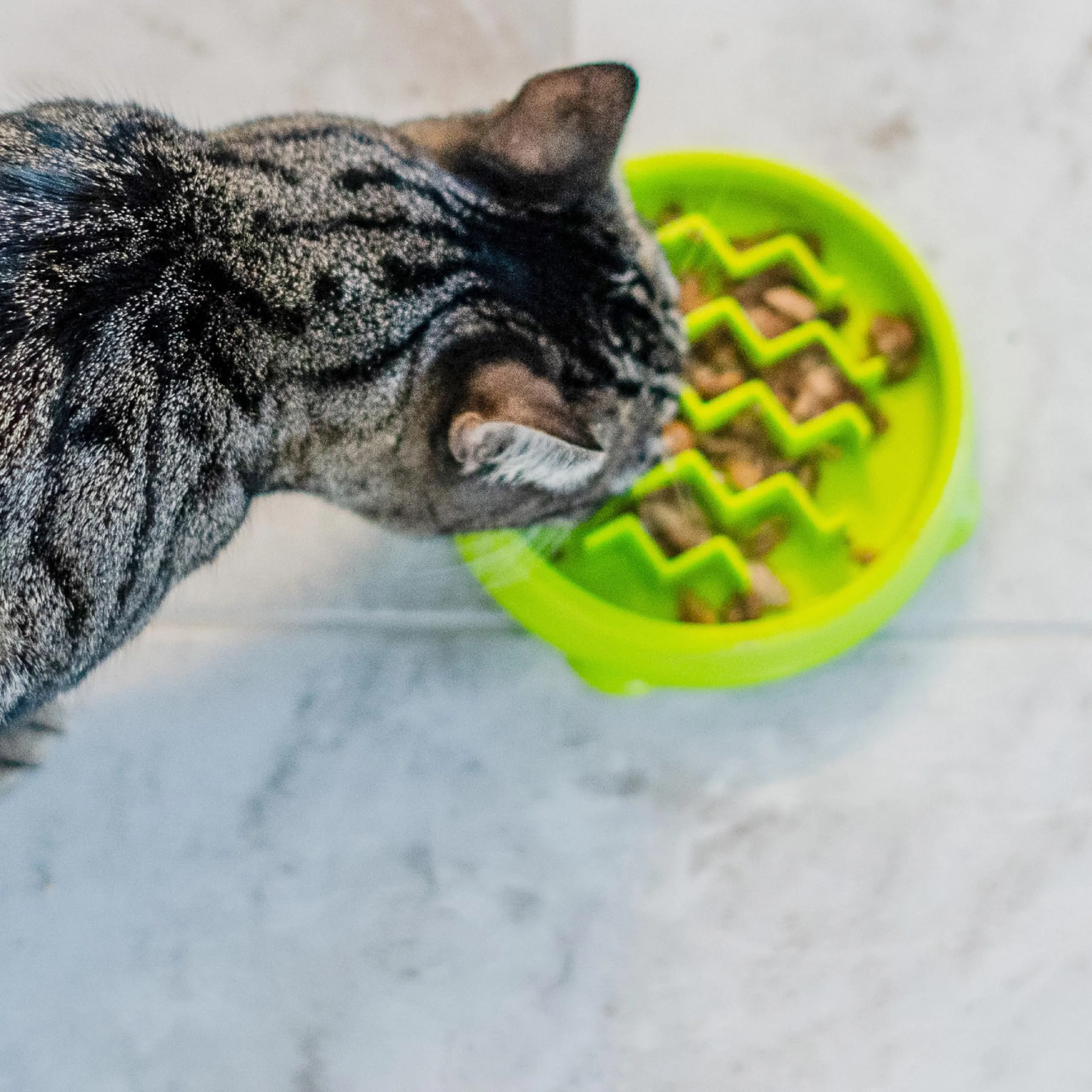 Petstages Kitty Slow Feeder Ciotola anti ingozzamento per gatti - Verde - immagine 7