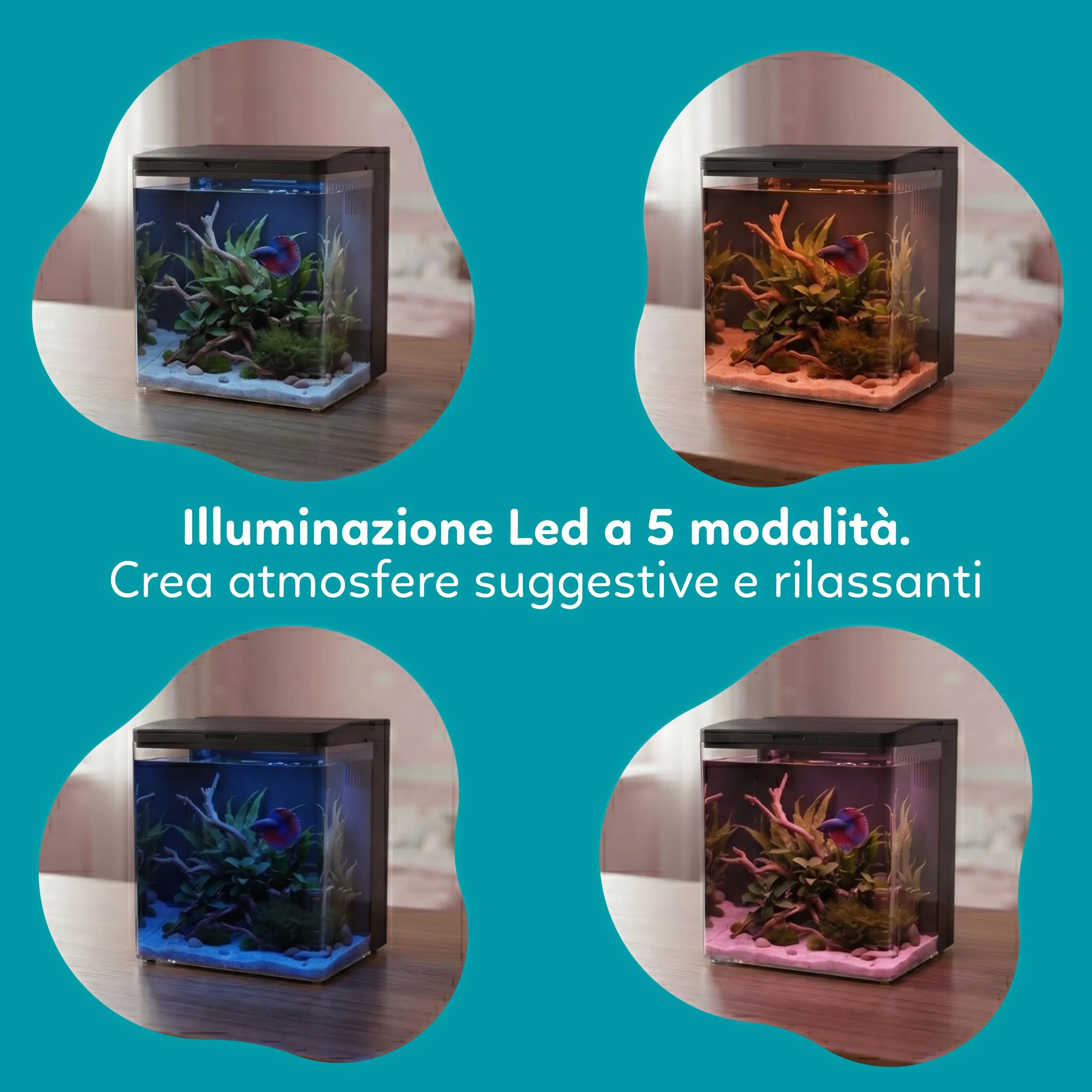 AQPET NEYA Mini Acquario in Acrilico 5L con Filtro, Pompa, LED 5 Modalità e Porte USB (Nero) - immagine 4