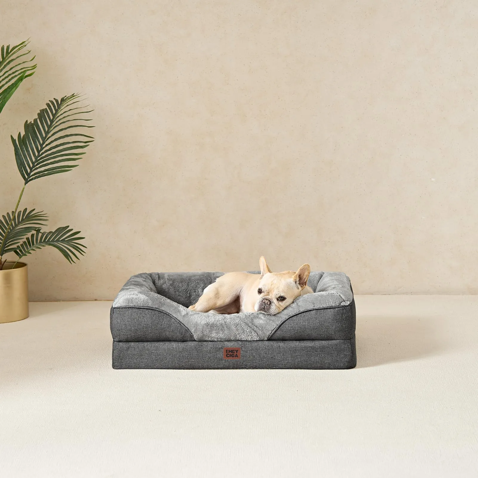 EHEYCIGA Cuccia Cane Interno Taglia Media, 76x51x16.5cm, Grigio Scuro - immagine 8