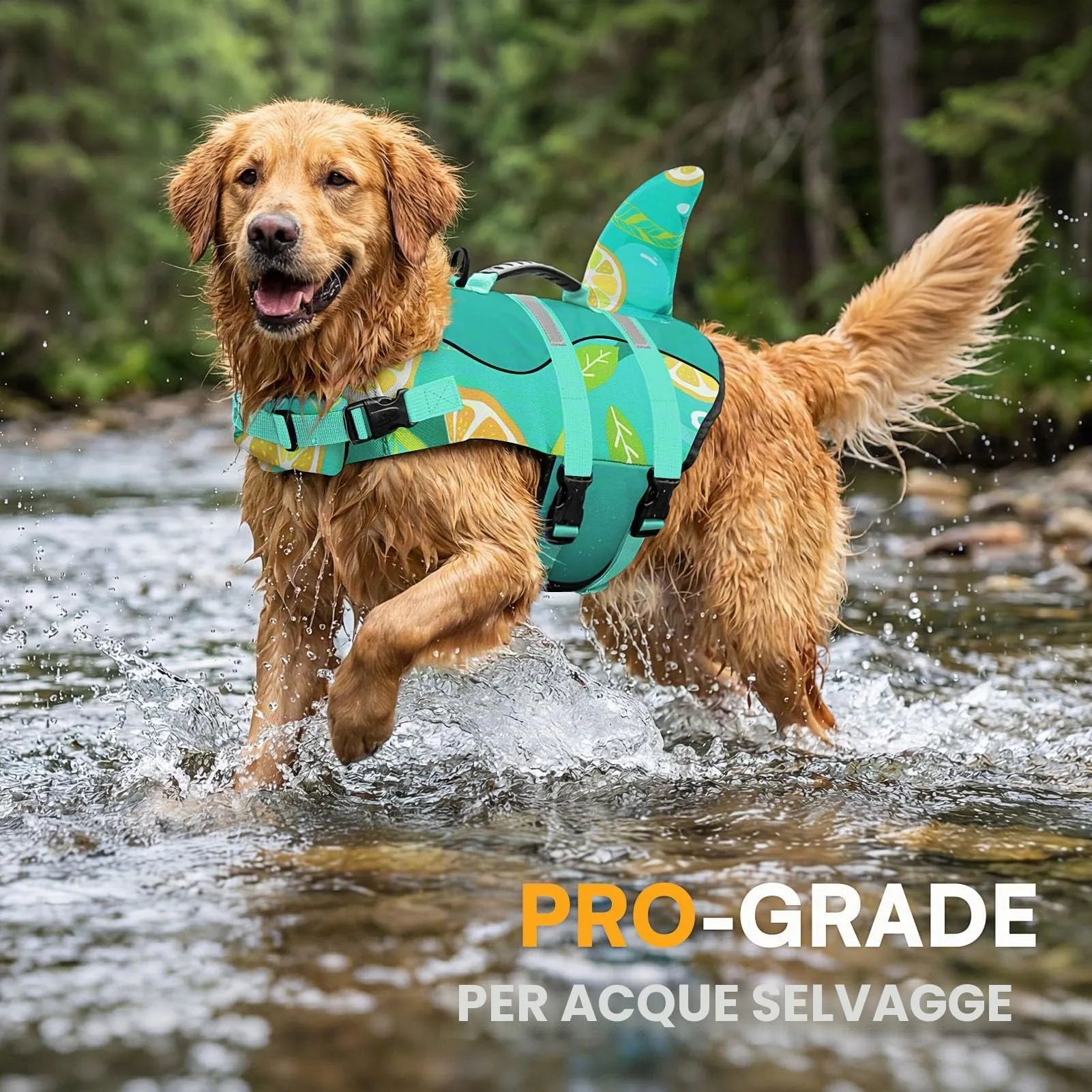Queenmore Giubbotto Salvagente Cane in Ripstop Design Squalo, Limone, 2XL - immagine 6