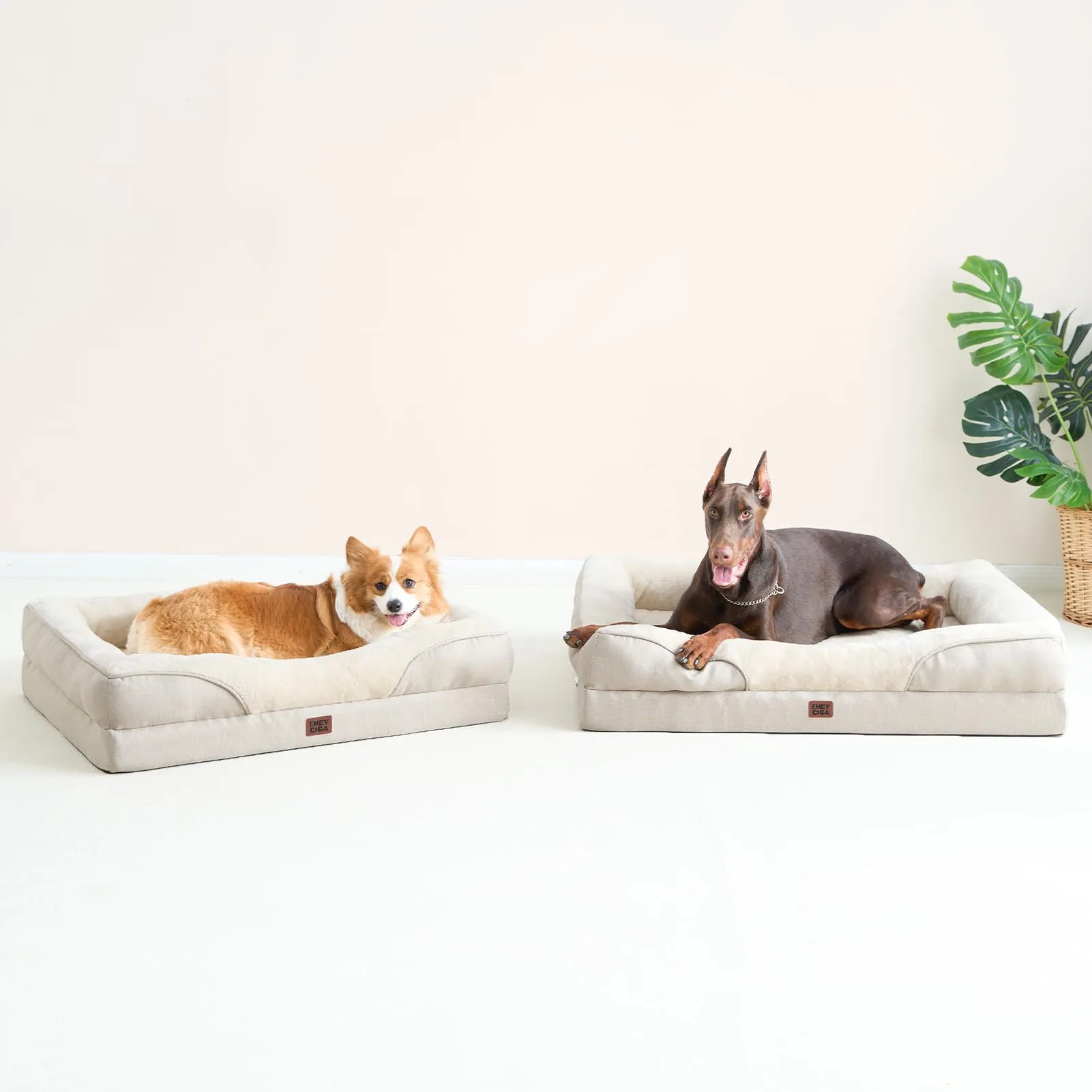 EHEYCIGA Cuccia Cane Interno, Taglia Grande, 91x68x17.5cm, Beige - immagine 8