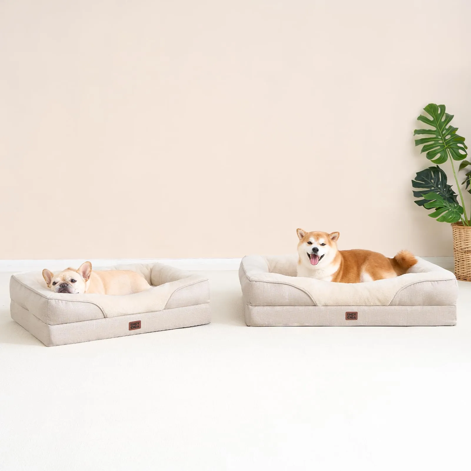 EHEYCIGA Cuccia Cane Interno, Taglia Grande, 91x68x17.5cm, Beige - immagine 9