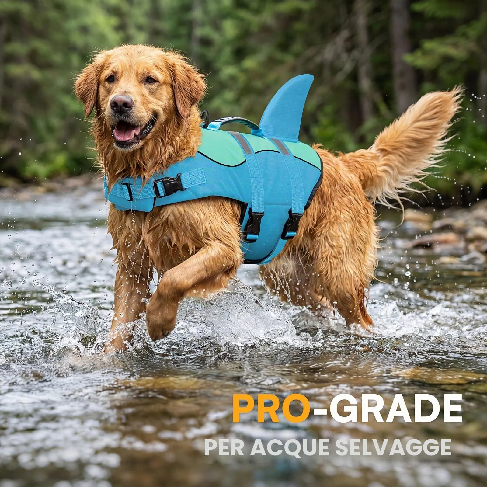 Queenmore Giubbotto Salvagente per Cani, Ripstop, Taglia L, Poolblue - immagine 6