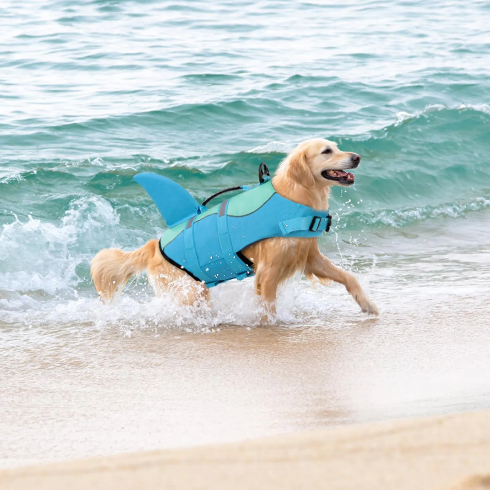 Queenmore Giubbotto Salvagente per Cani, Ripstop, Taglia L, Poolblue - immagine 8