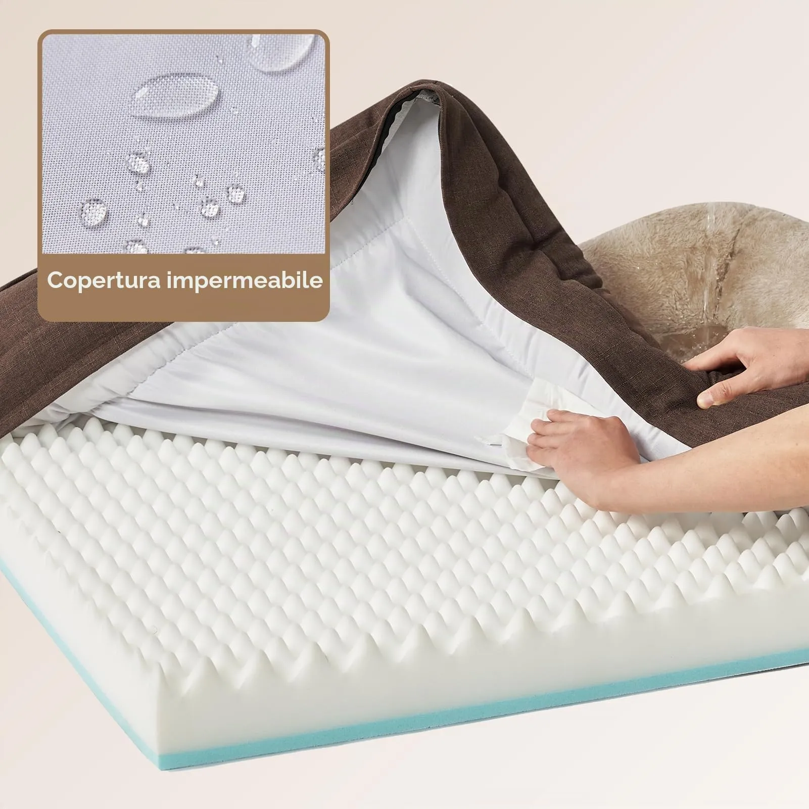 EHEYCIGA Cuccia Cane Interno Taglia Media, 76x51x16.5cm, Marrone - immagine 4