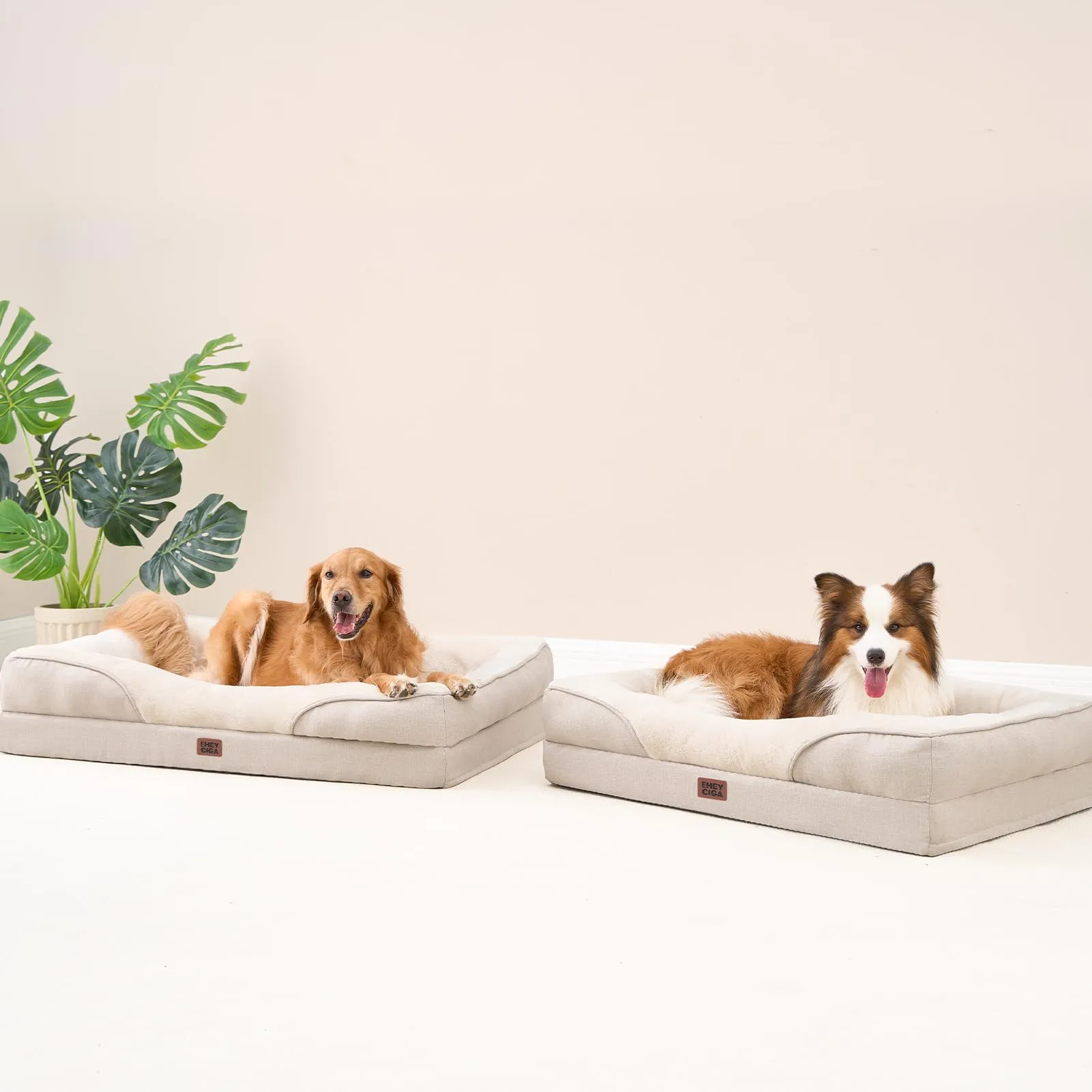 EHEYCIGA Cuccia Cane Interno, Taglia Media, 76x51x16.5cm, Beige - immagine 8