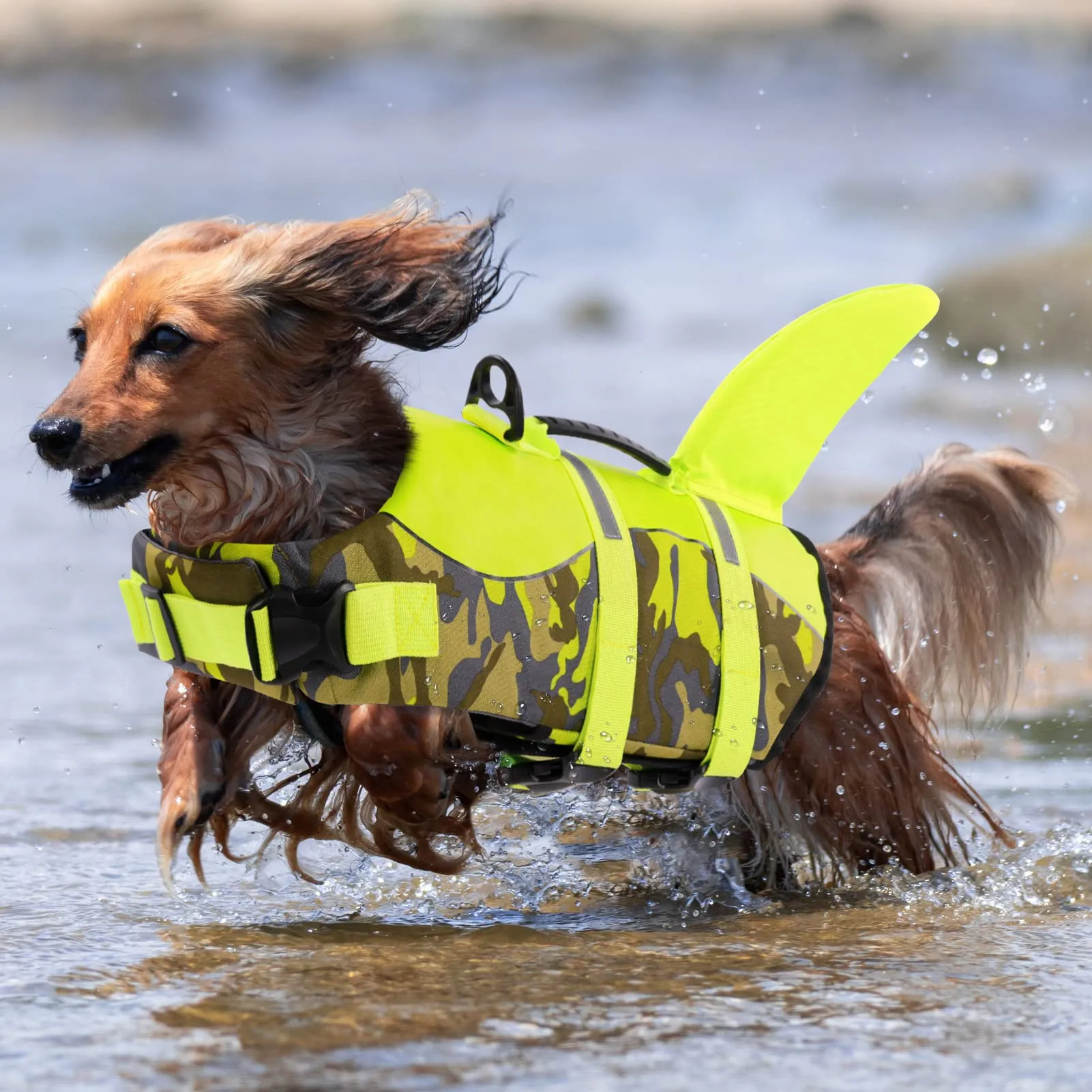 Queenmore Giubbotto di salvataggio regolabile per cani, GreenCamo, M - immagine 6