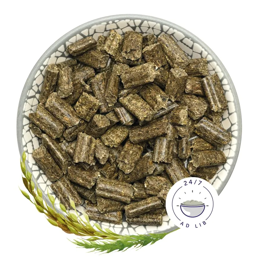 Bunny Dream Basic per Conigli Nani - 1500 g - immagine 3