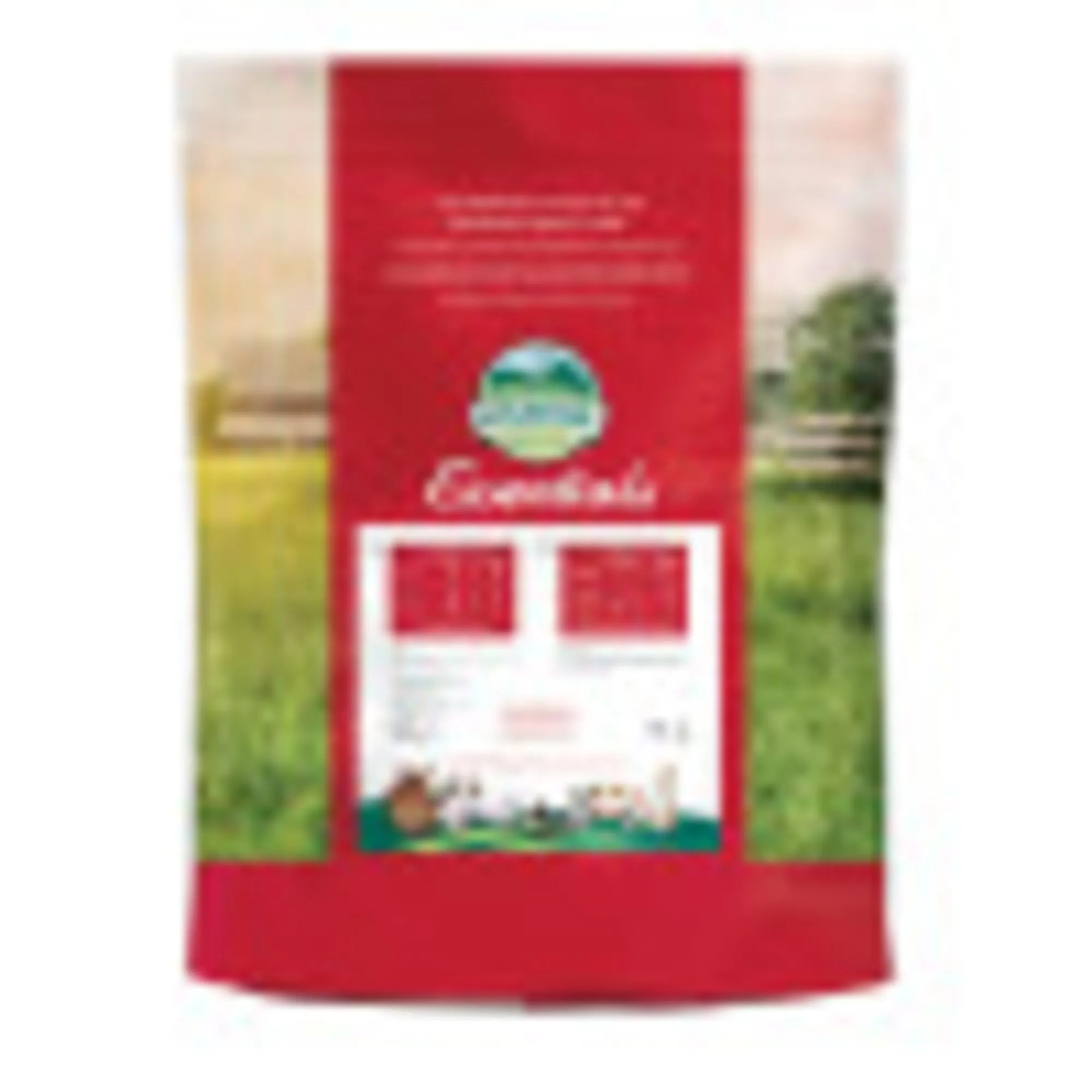 Oxbow Mangime per Chinchilla - 11.34 kg - immagine 2