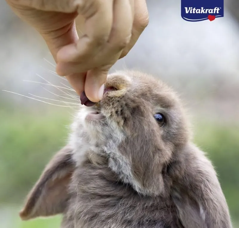 Vitakraft Drops Snack per Roditori con Frutti di Bosco, senza zuccheri aggiunti, 75g - immagine 5