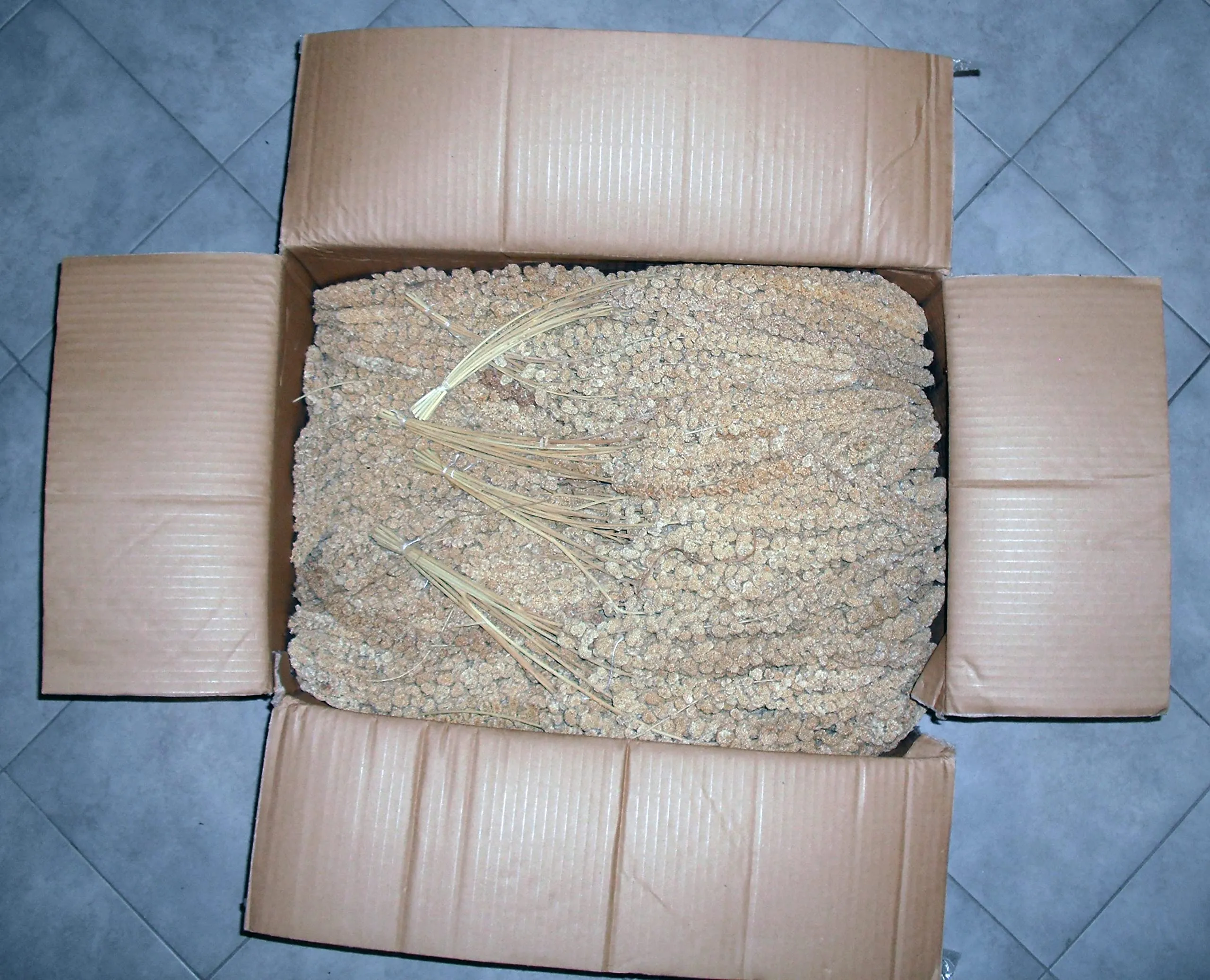 New Little Birds Spighe di Panico 3 kg - immagine 2