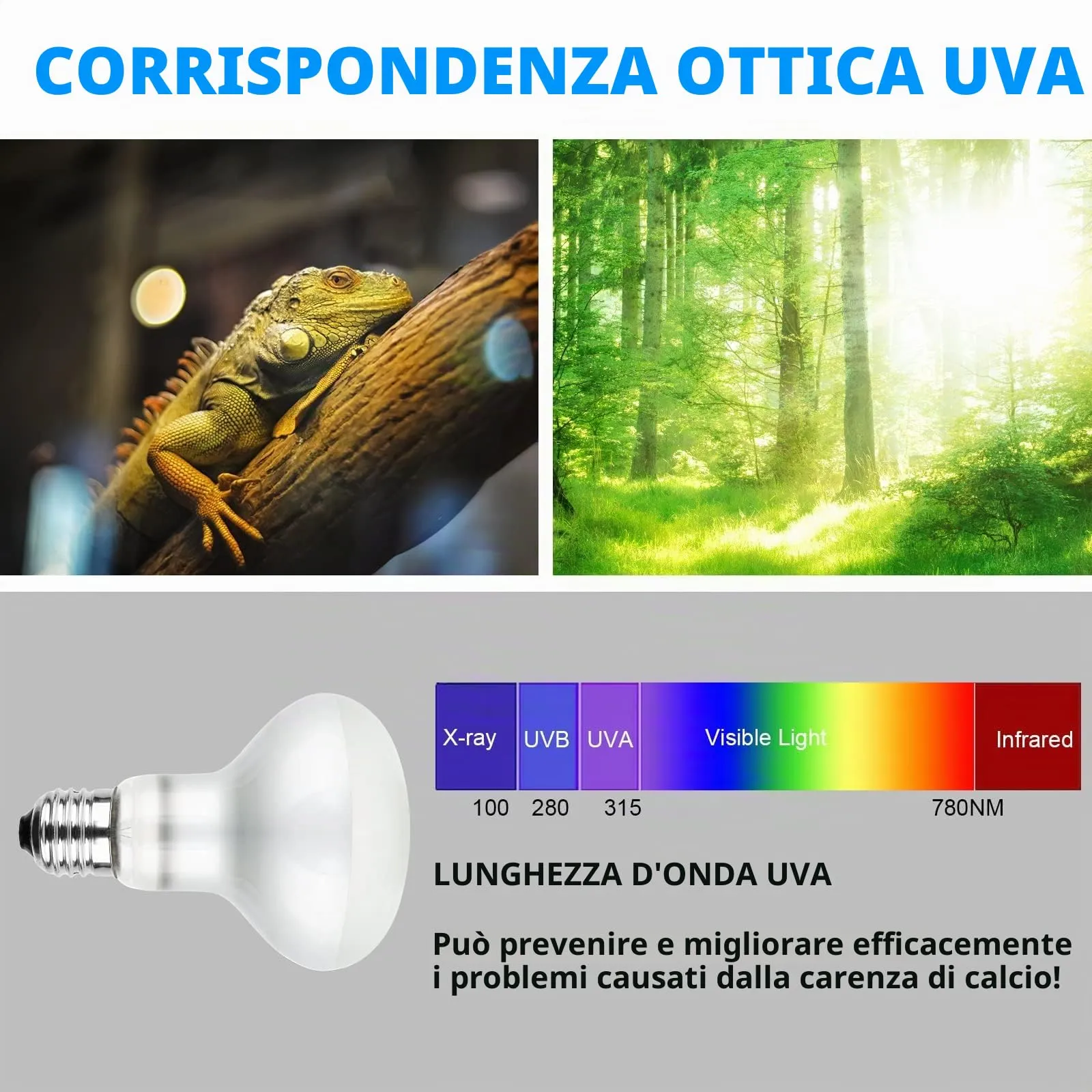 Adiwo Lampada Calore per Rettili, 100W UVA, 2 Pezzi, E27 - immagine 3