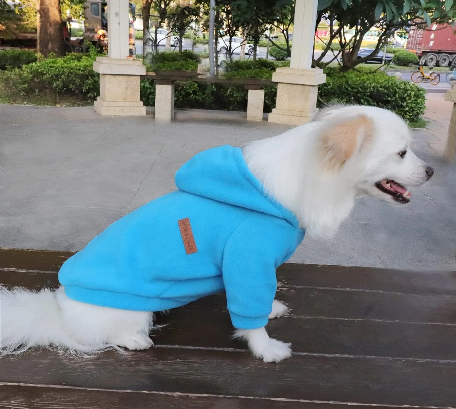 HuaLiSiJi Felpa con Cappuccio per Cani di Piccola Taglia (Blu, XS) - immagine 4