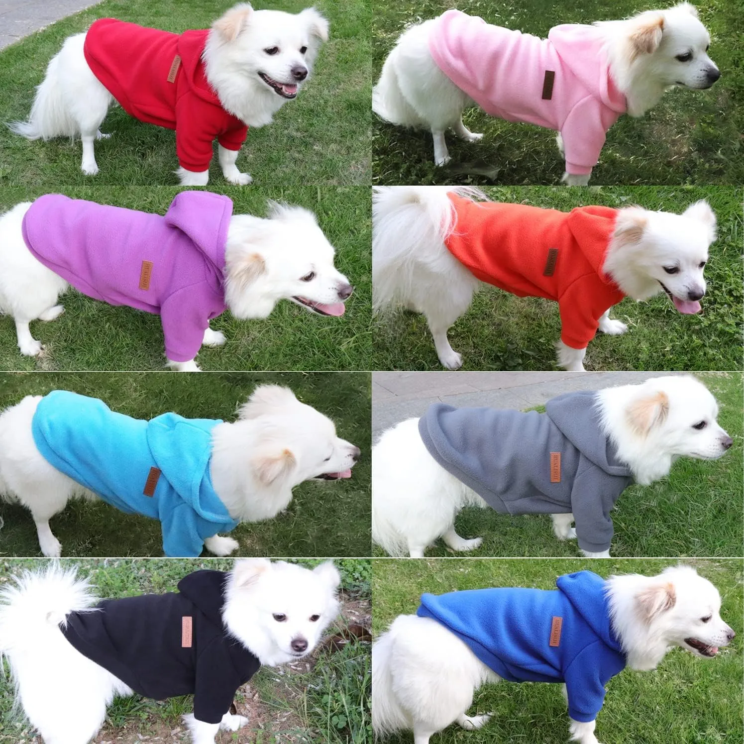 HuaLiSiJi Felpa con Cappuccio per Cani di Piccola Taglia (Blu, XS) - immagine 5