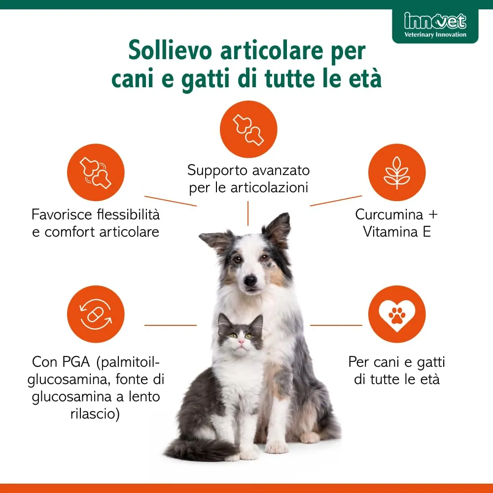 Innovet Glupacur Sollievo Articolare per Cani e Gatti con PGA, Curcuma e Vitamina E, 30 Compresse - immagine 2