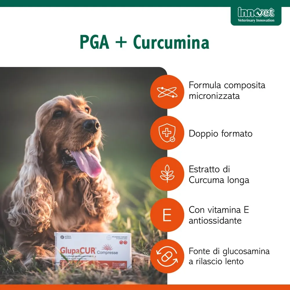 Innovet Glupacur Sollievo Articolare per Cani e Gatti con PGA, Curcuma e Vitamina E, 30 Compresse - immagine 3