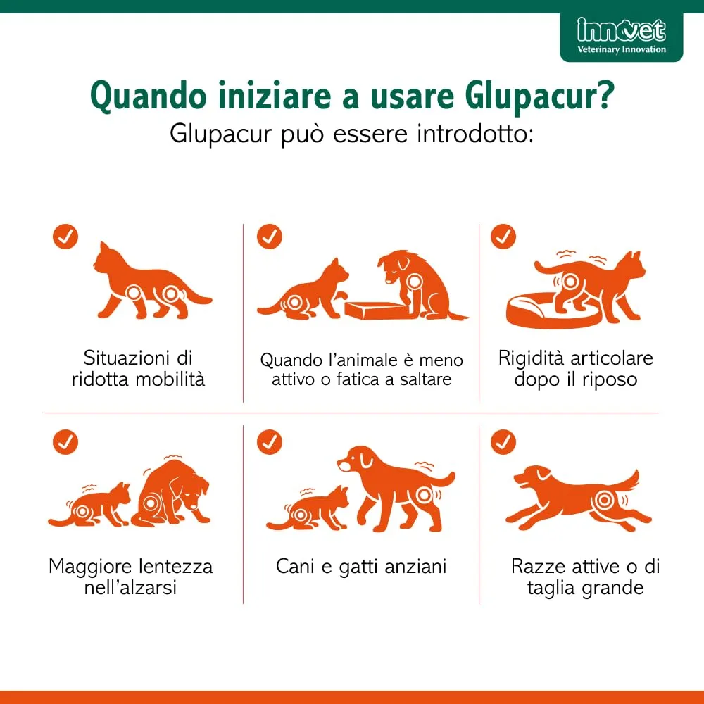 Innovet Glupacur Sollievo Articolare per Cani e Gatti con PGA, Curcuma e Vitamina E, 30 Compresse - immagine 4