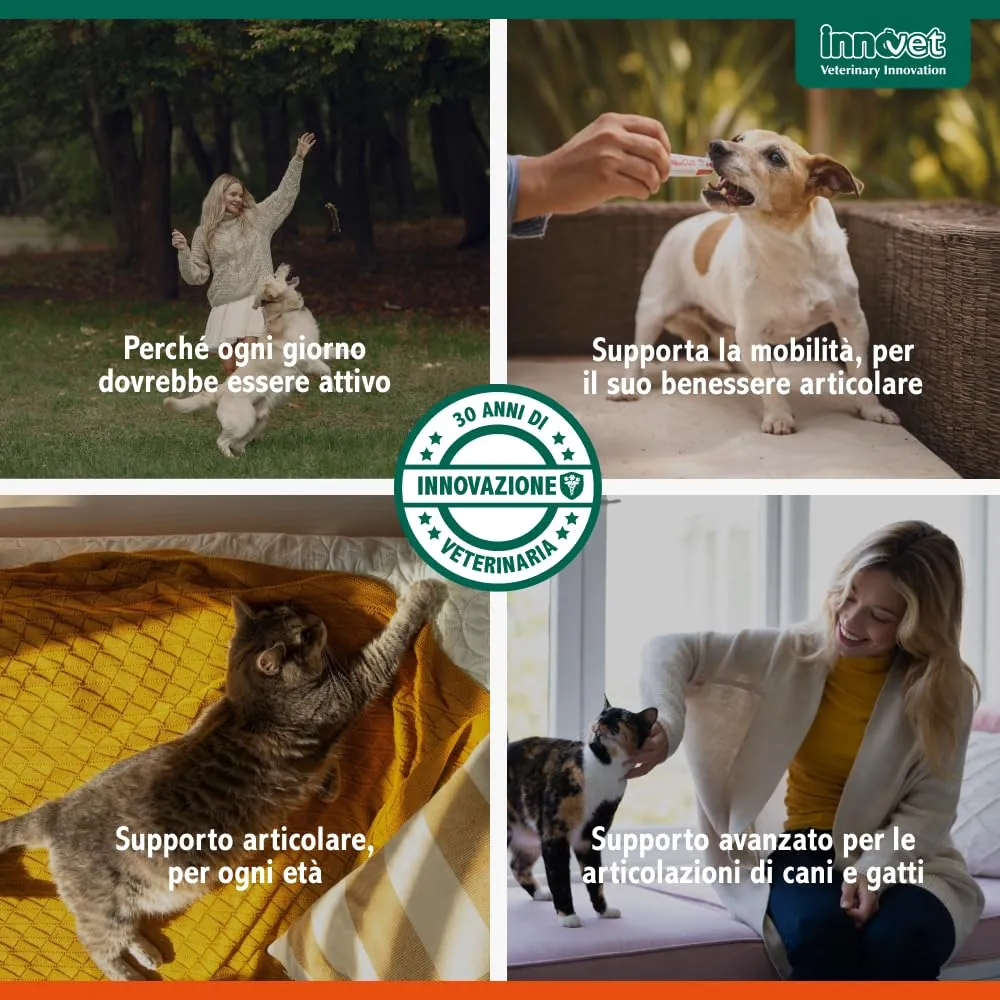Innovet Glupacur Sollievo Articolare per Cani e Gatti con PGA, Curcuma e Vitamina E, 30 Compresse - immagine 8