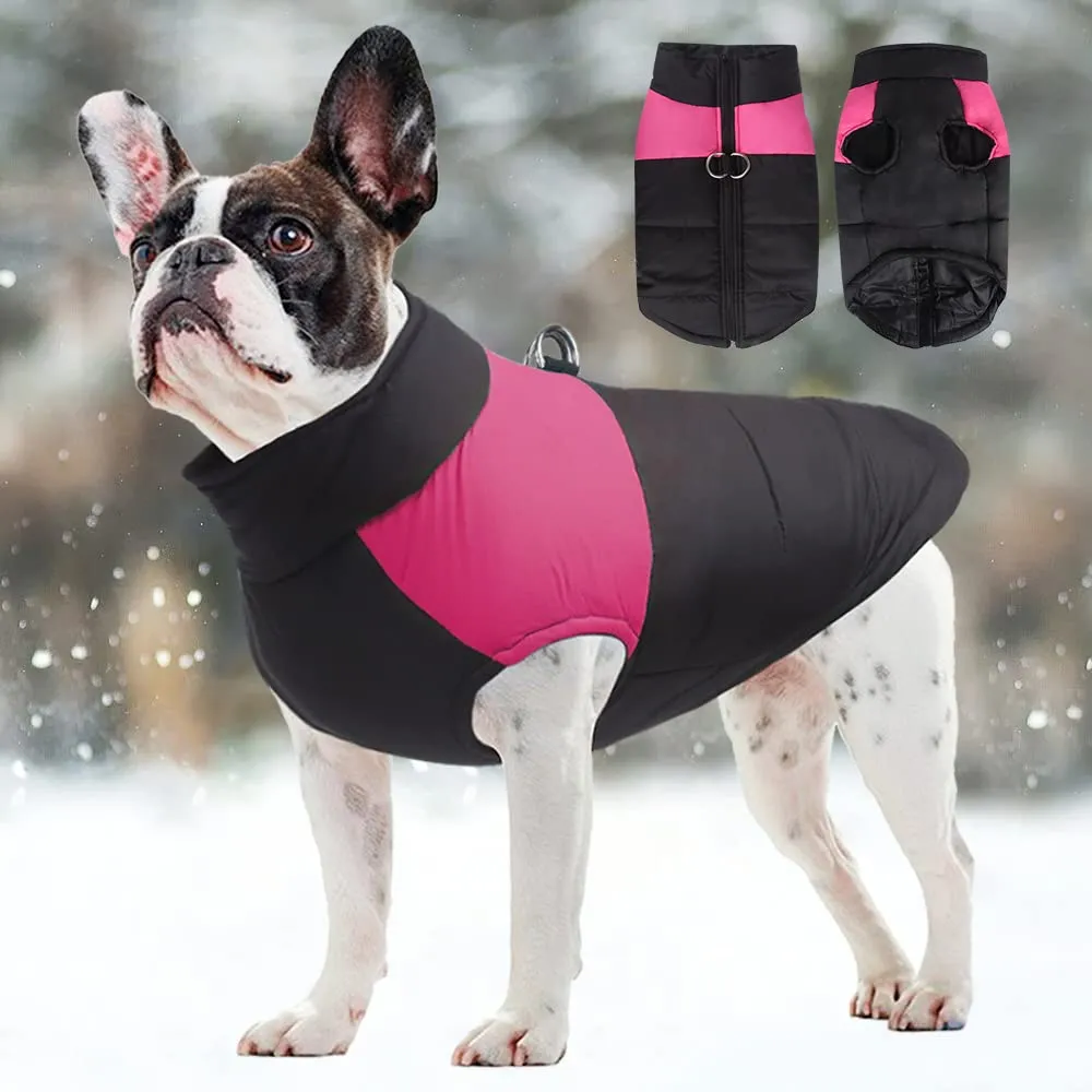 FEimaX Cappotto Cani Impermeabile Invernale, Giacca Calda Antivento per Cane e Gatto - immagine 5