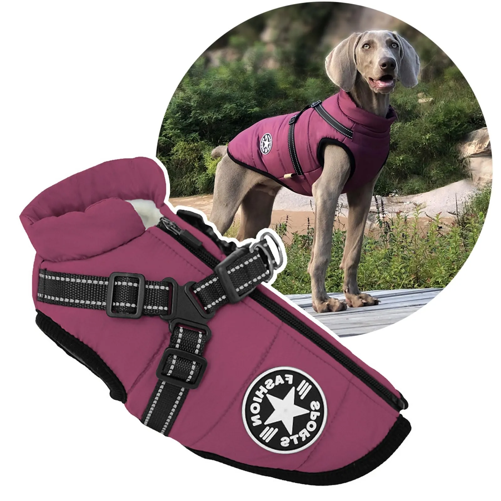 Oncpcare Cappotto Invernale 2 in 1 per Cani di Grandi Dimensioni, Viola, 4XL - immagine 1