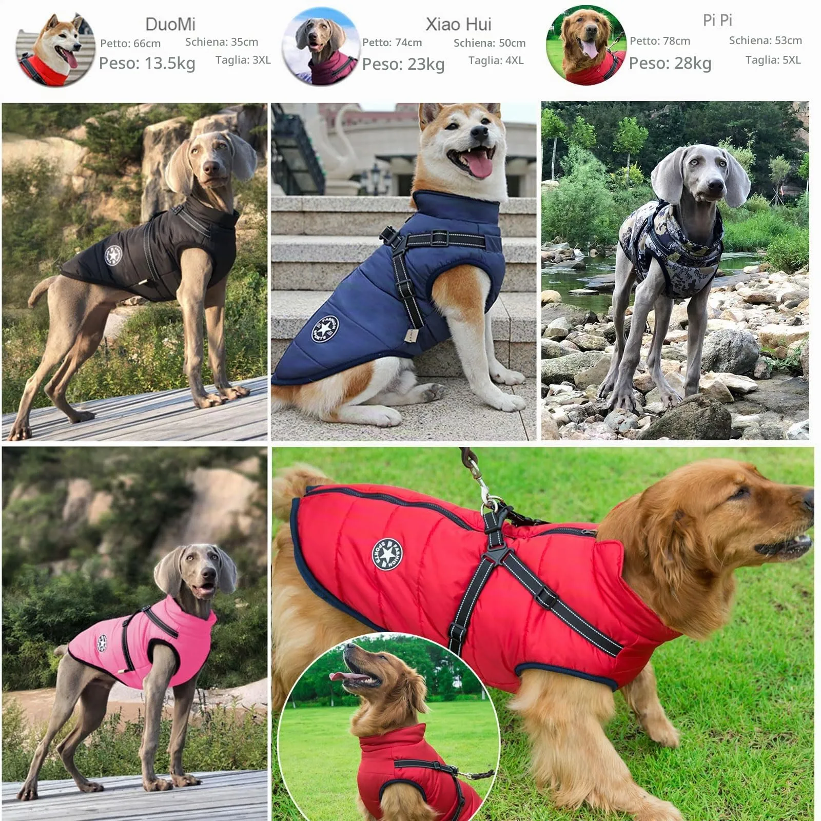 Oncpcare Cappotto Invernale 2 in 1 per Cani di Grandi Dimensioni, Viola, 4XL - immagine 6