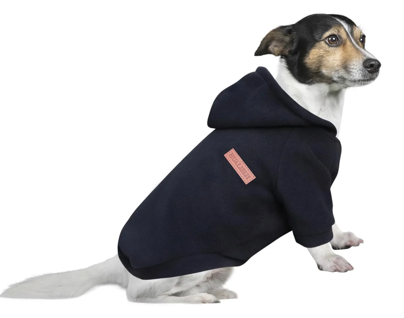 HuaLiSiJi Felpa con Cappuccio per Cani, Nero, XXXL - immagine 1